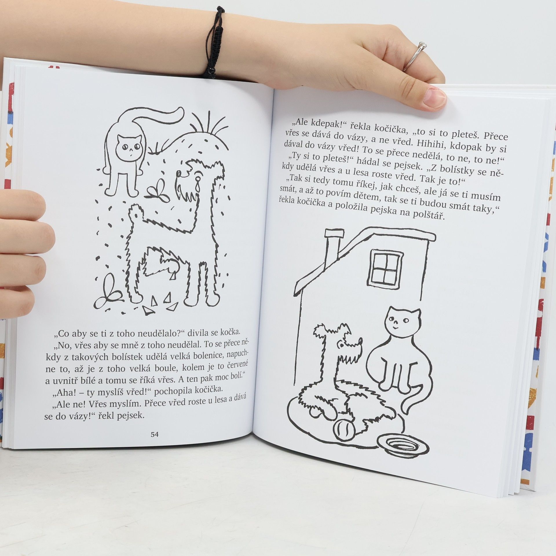 Autorenkollektiv Povídání o pejskovi a kočičce