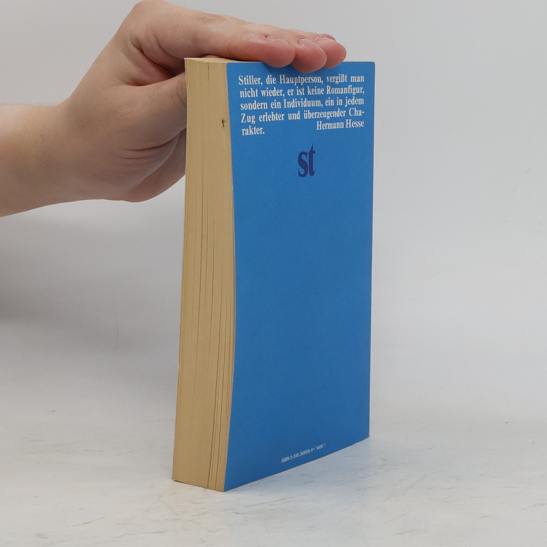 Max Frisch Stiller