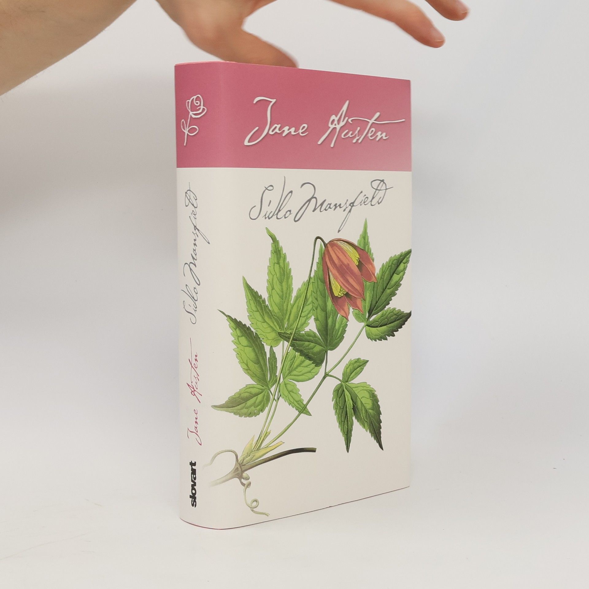 Jane Austen Sídlo Mansfield