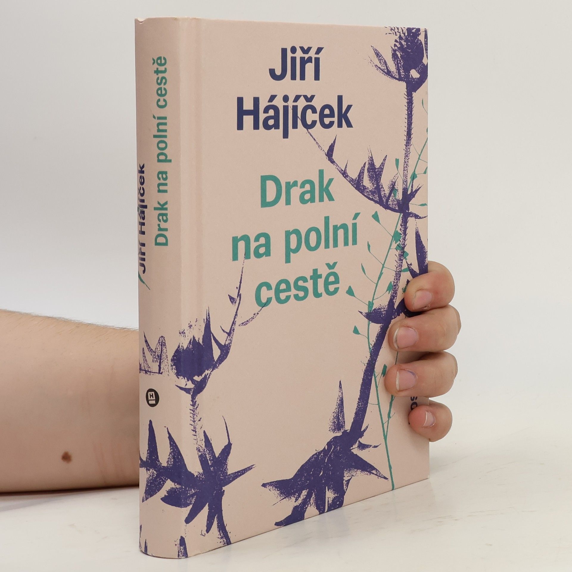 Jiří Hájíček Drak na polní cestě