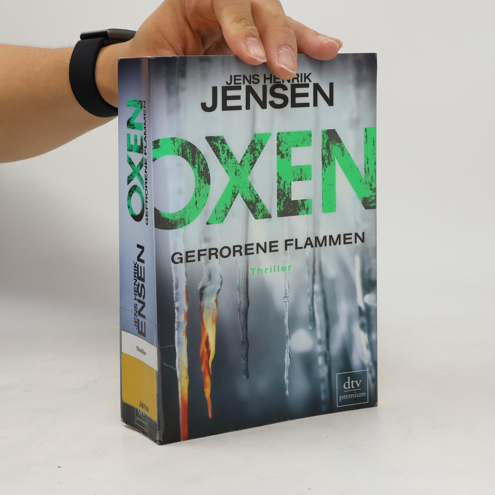Jens Henrik Jensen Oxen - gefrorene Flammen