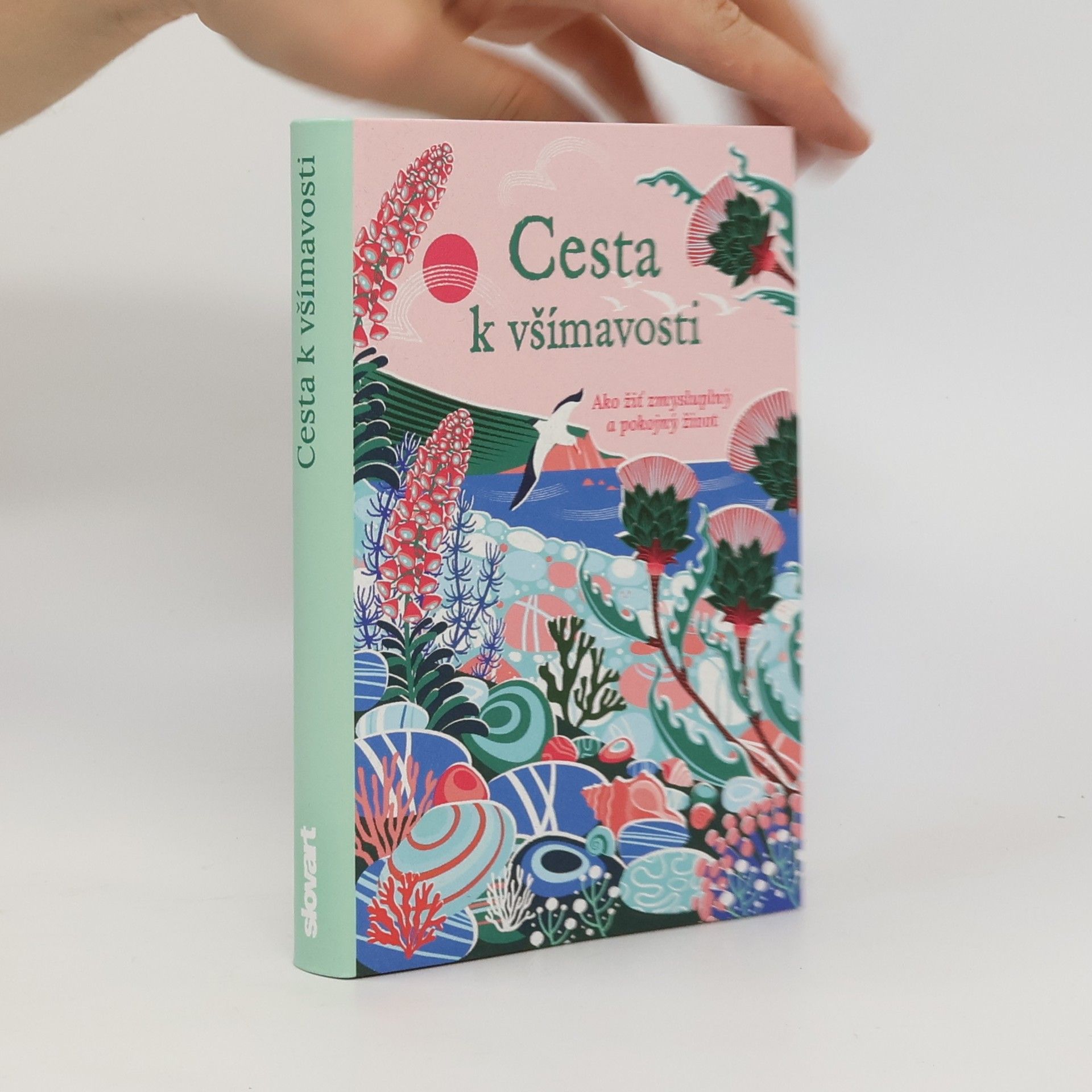 Rebecca Dickinson Cesta k všímavosti