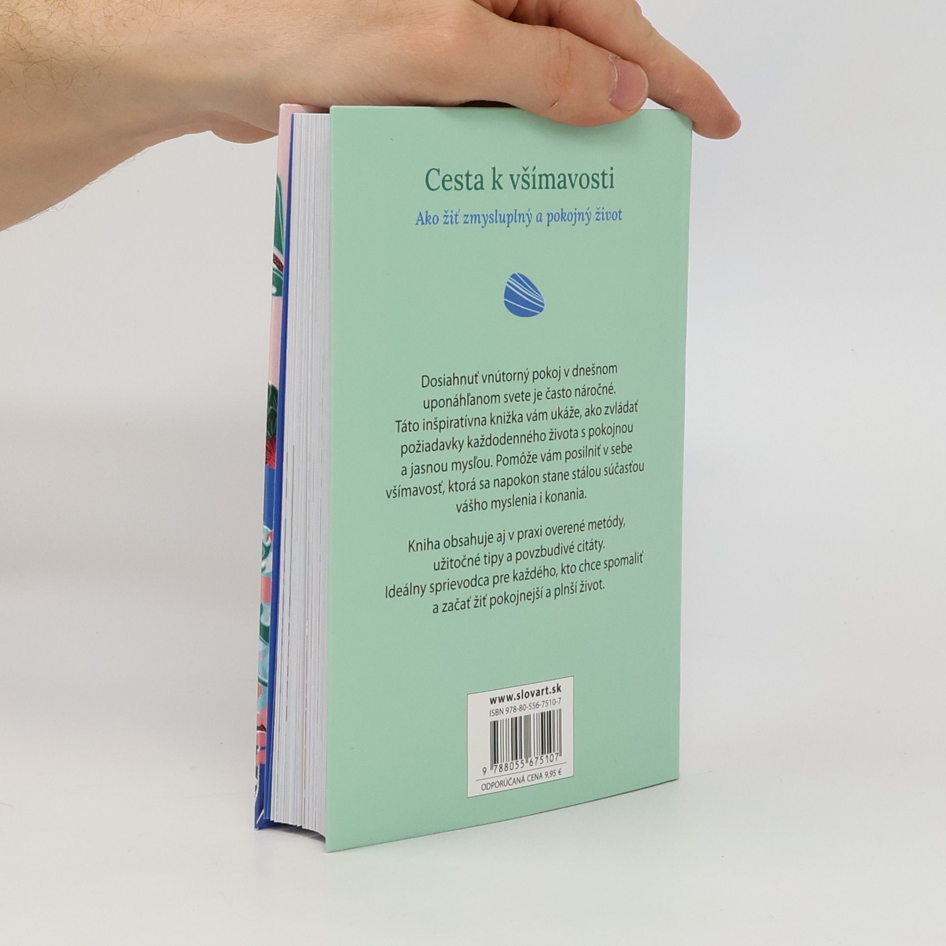 Rebecca Dickinson Cesta k všímavosti