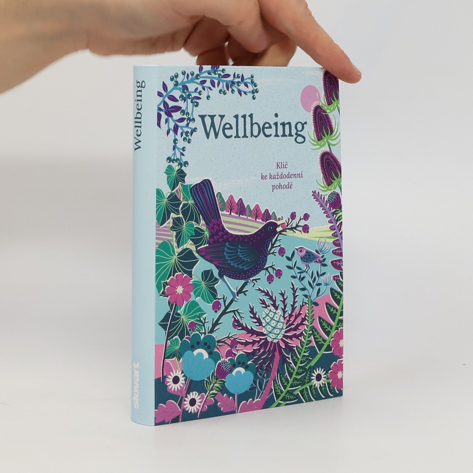 Sasha Morton Wellbeing - Klíč ke každodenní pohodě