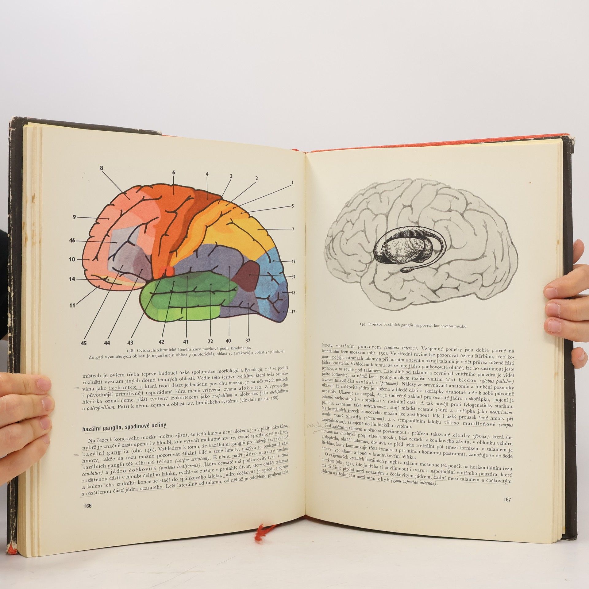 Jaroslav Fleischmann Anatomie člověka. 2. díl