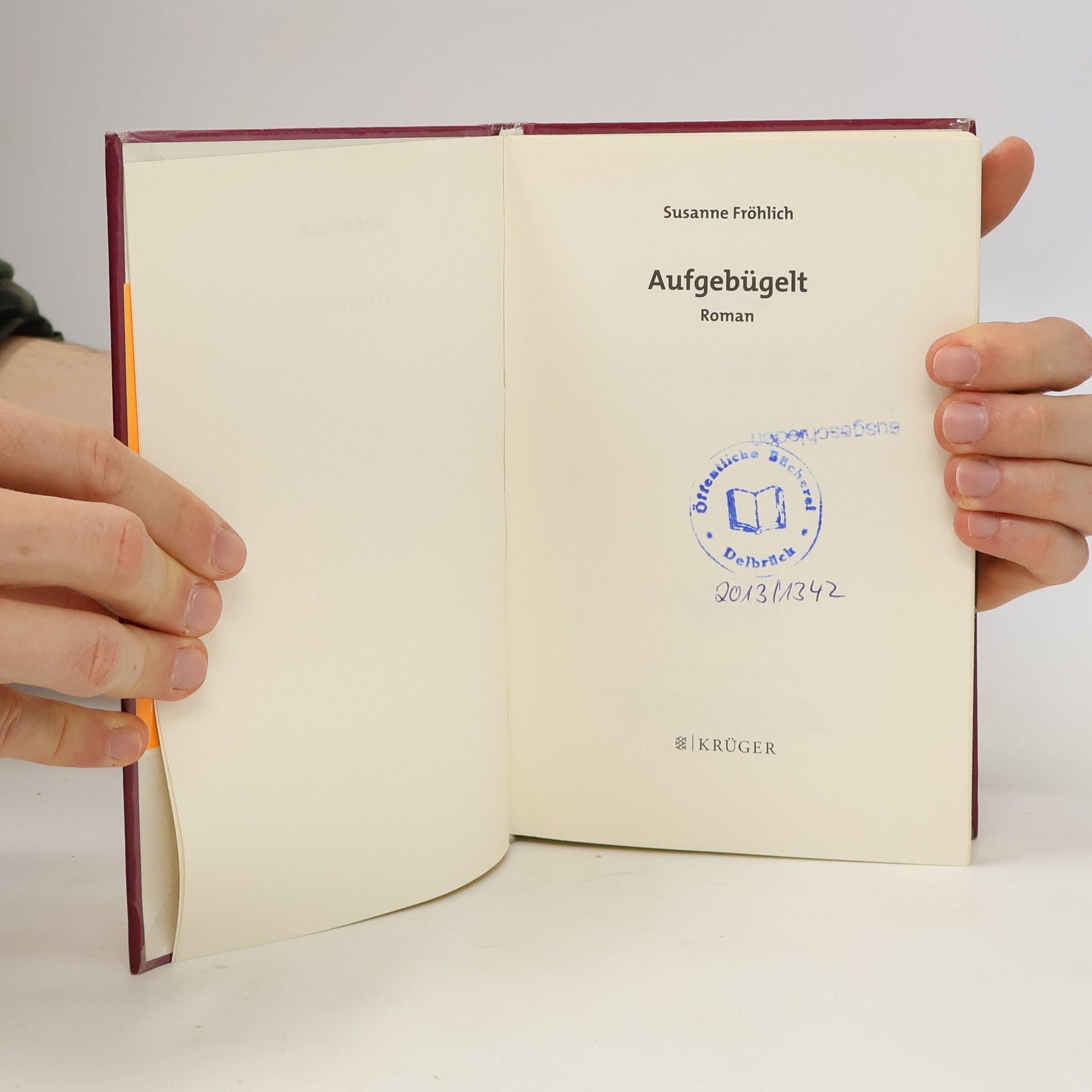 Susanne Fröhlich Aufgebügelt