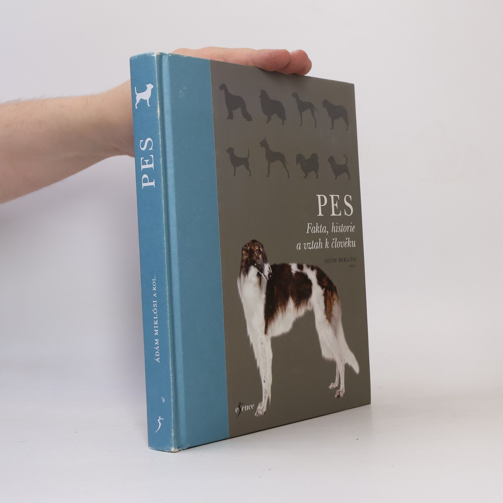Collectif d'auteurs Pes