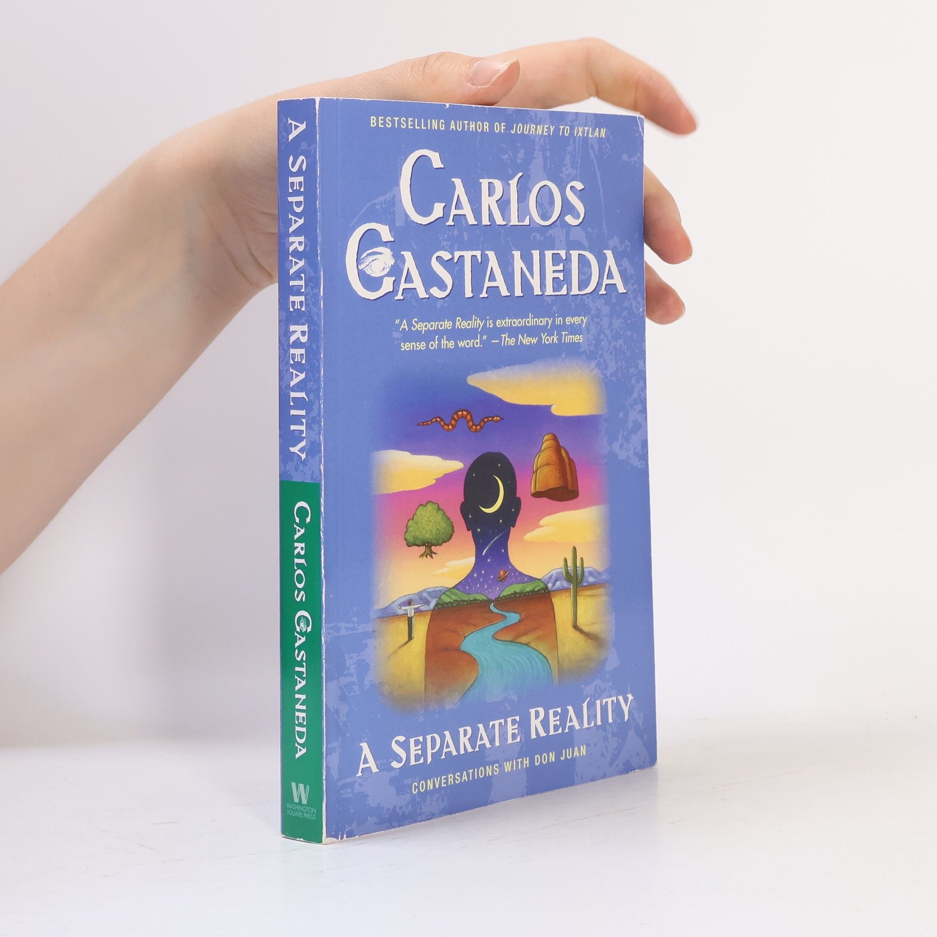 Carlos Castaneda A Separate Reality