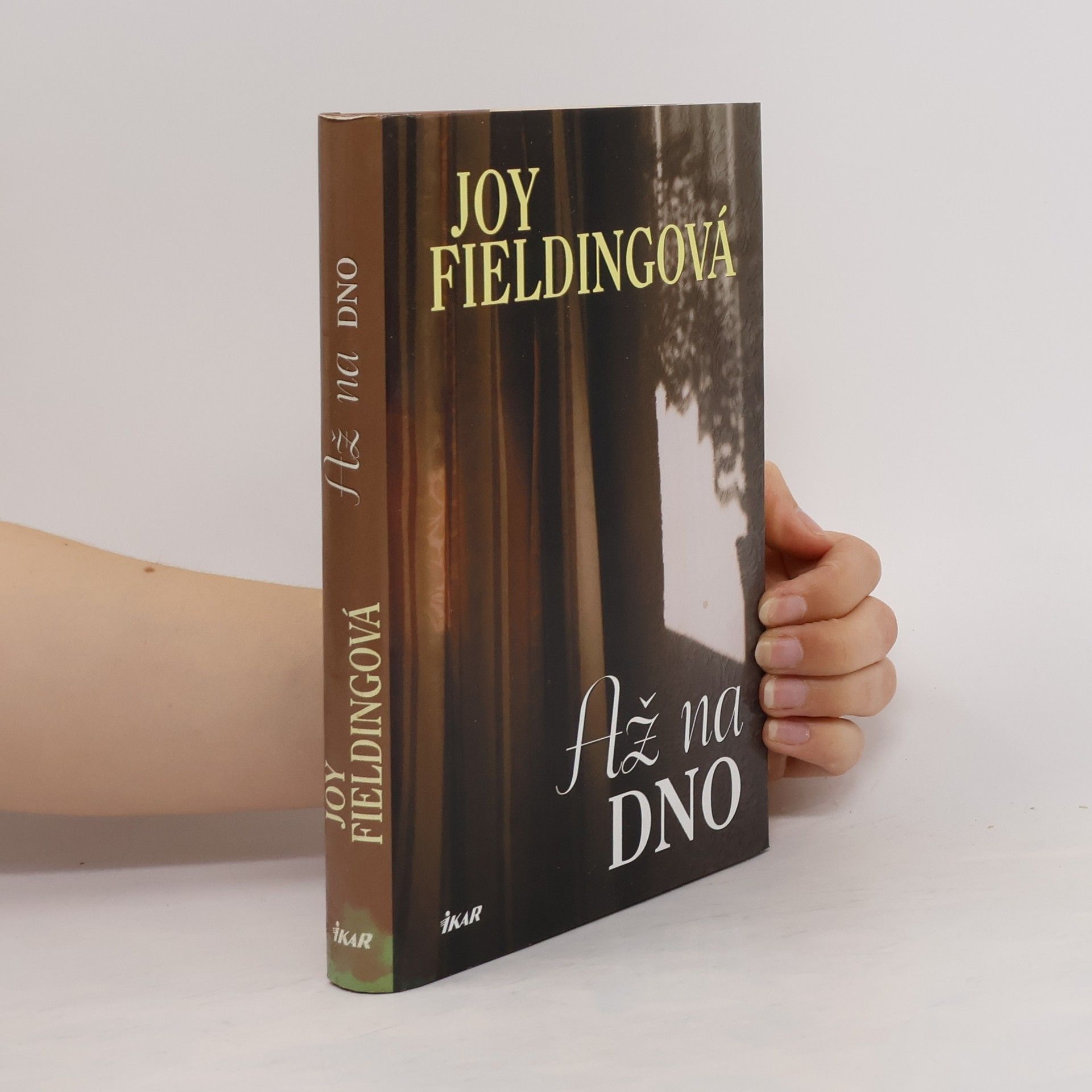Joy Fielding Až na dno