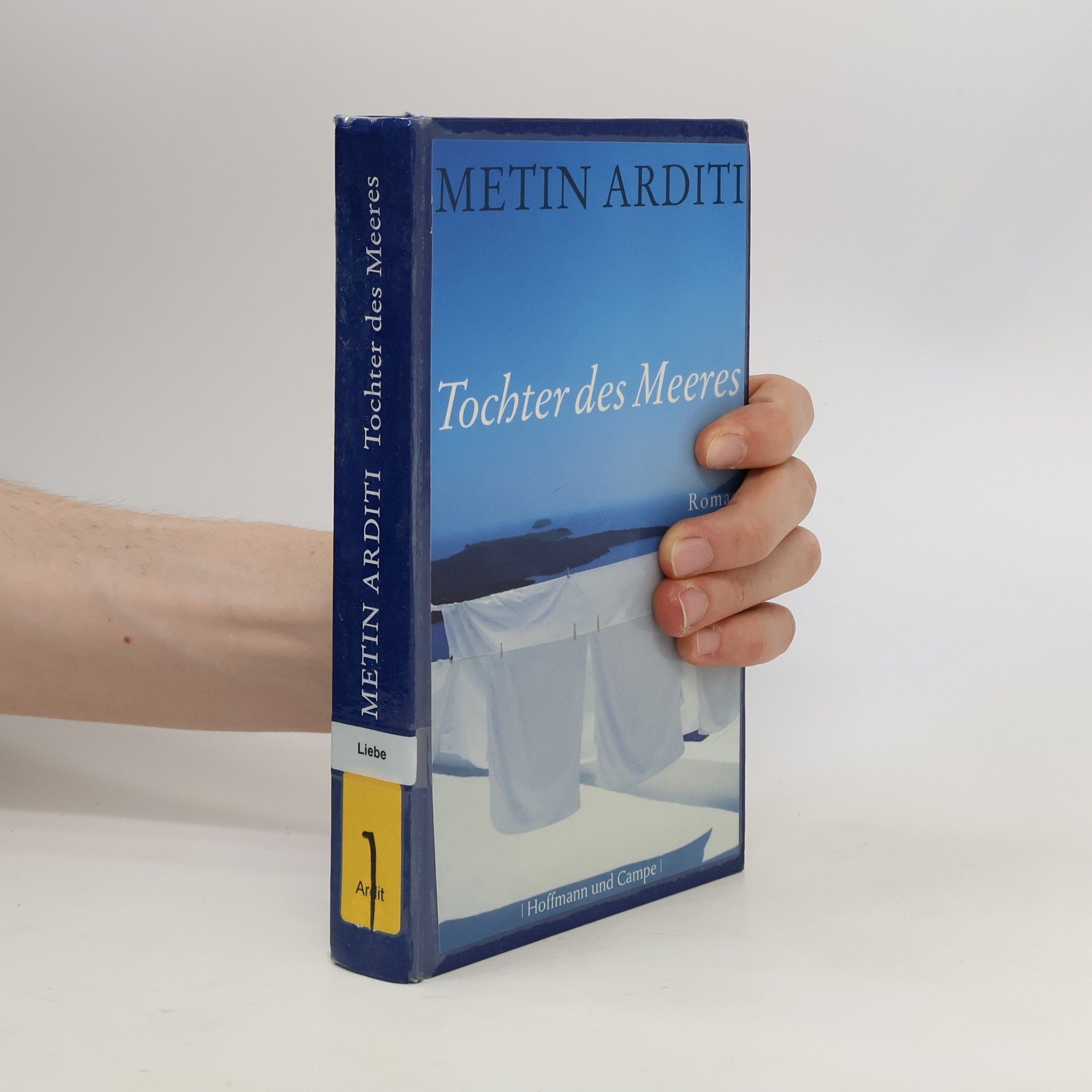 Metin Arditi Tochter des Meeres