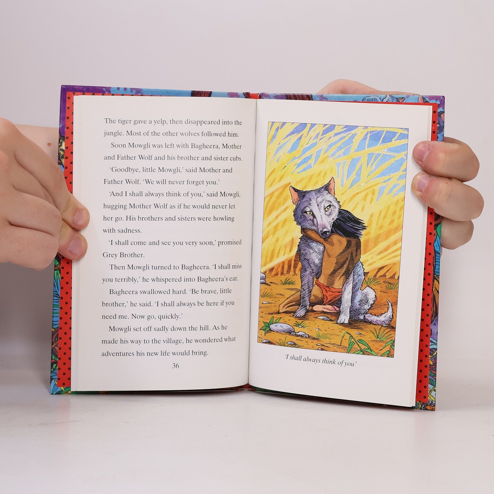 Alison Ainsworth Tales from the jungle book