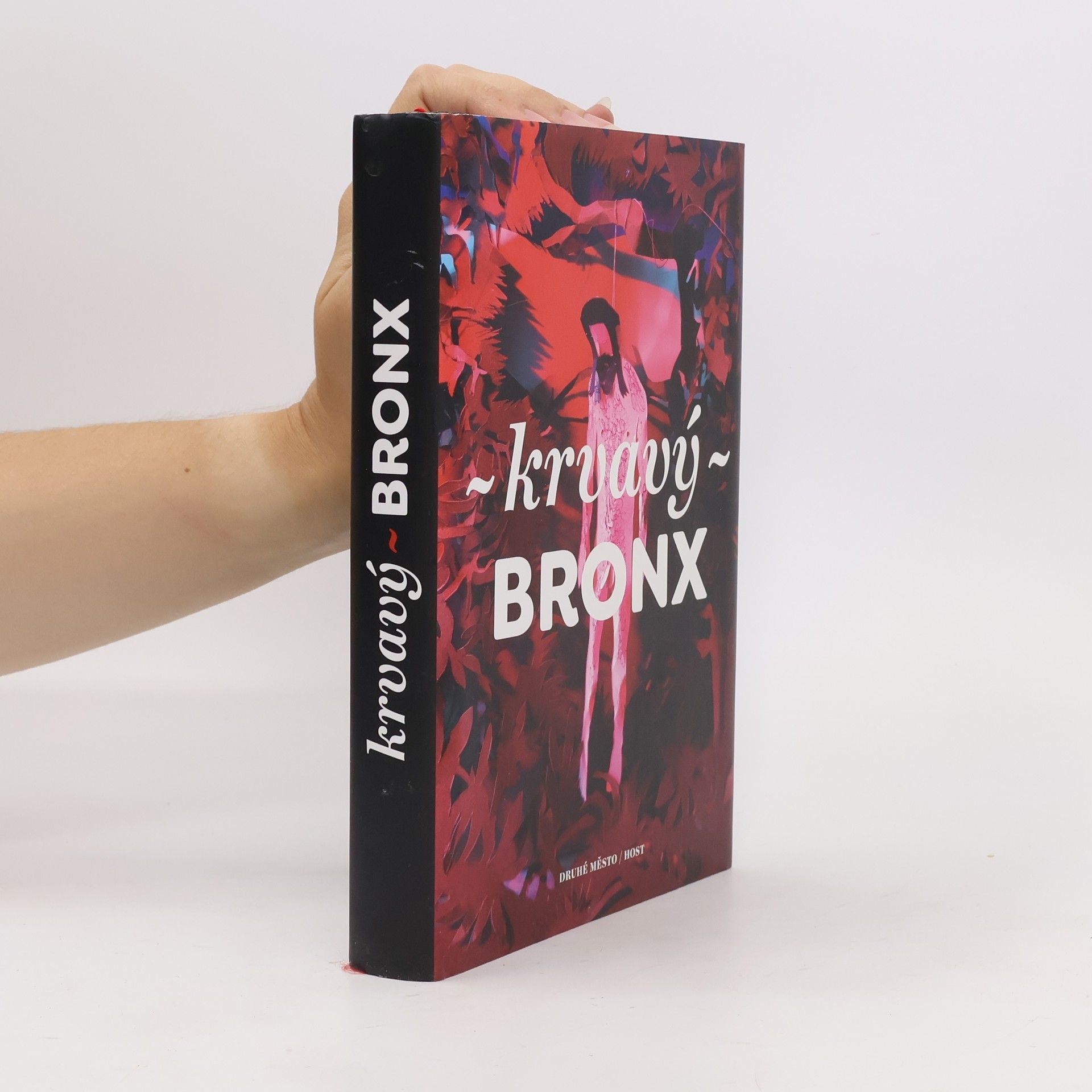 Kolektiv autorů Krvavý Bronx