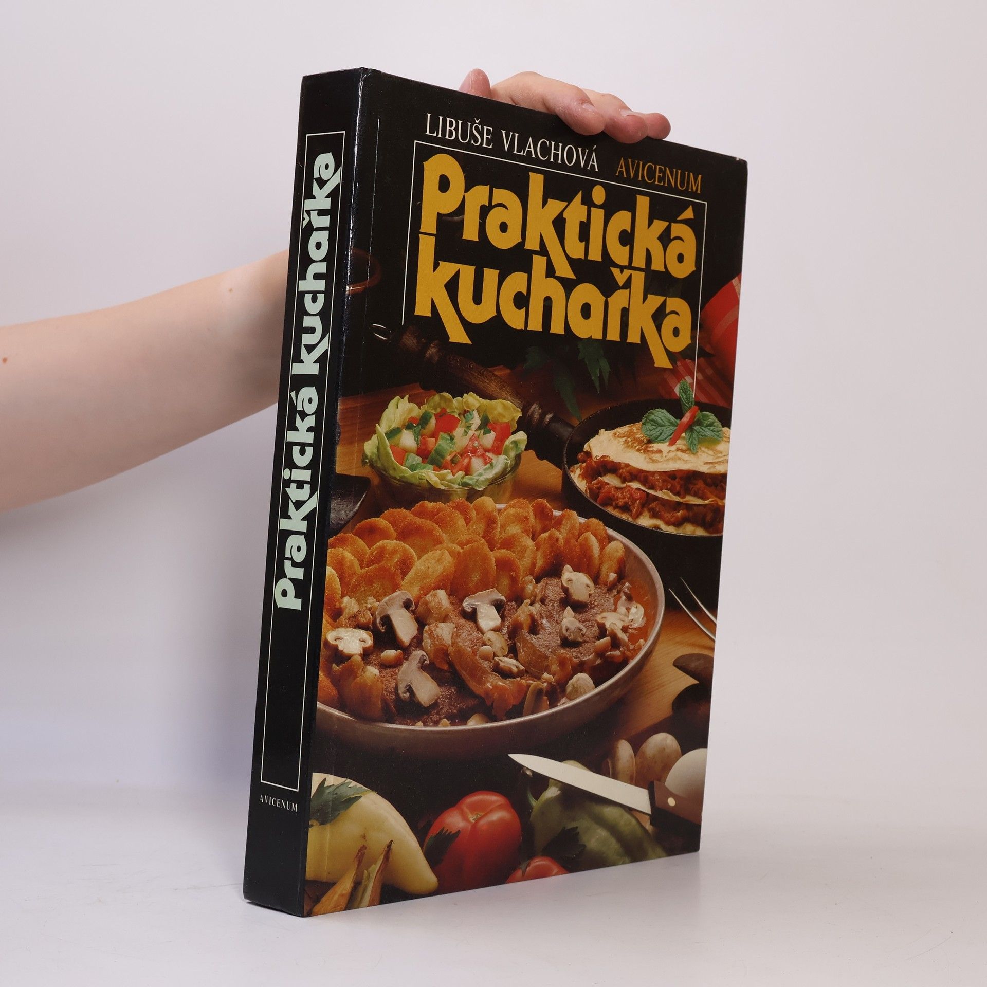 Libuše Vlachová Praktická kuchařka