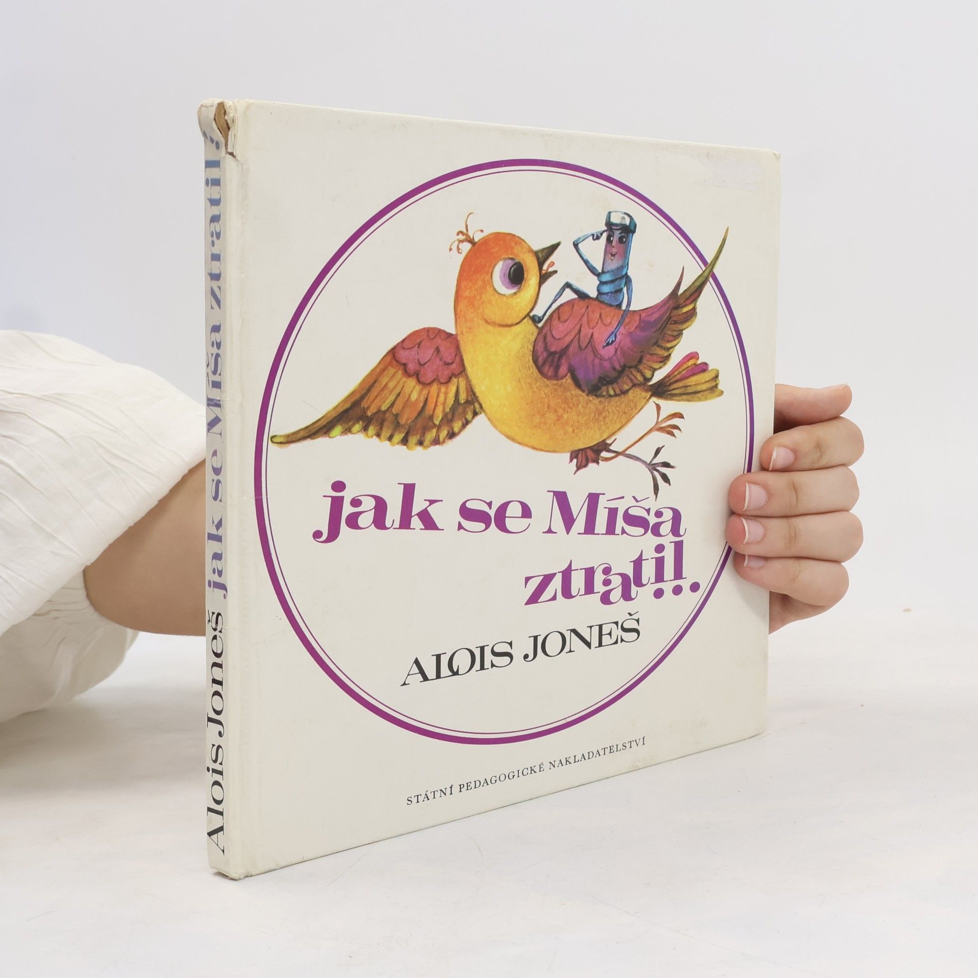 Alois Joneš Jak se Míša ztratil a zase našel