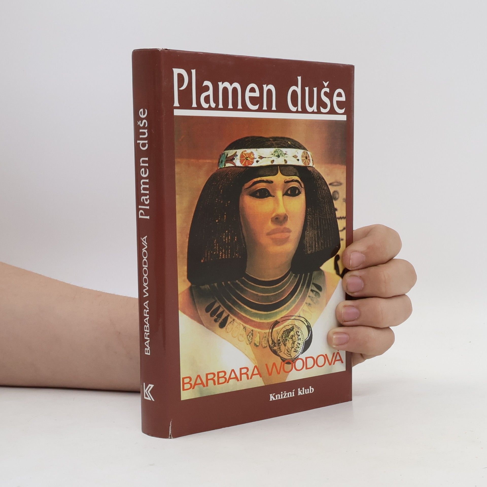 Barbara Wood Plamen duše