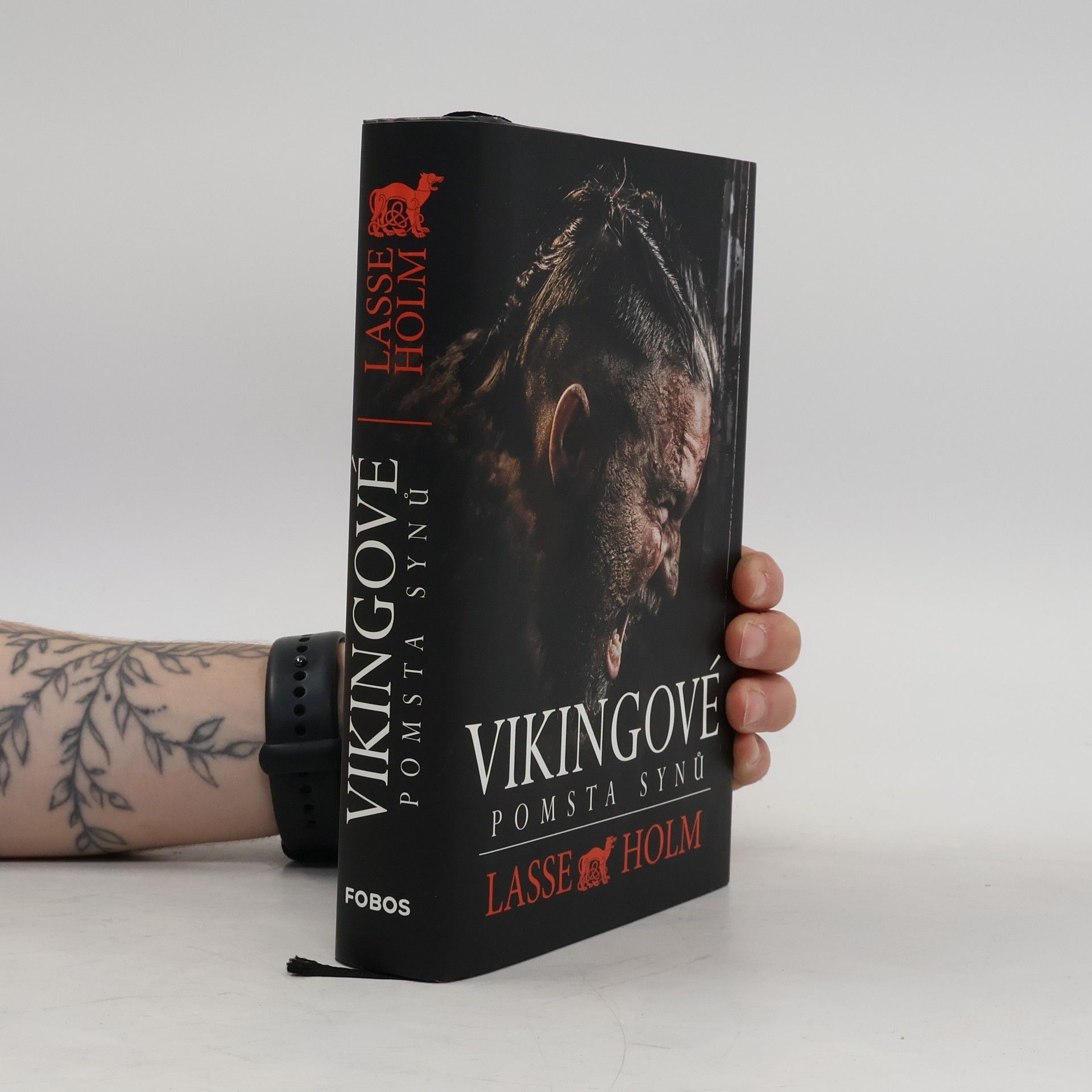 Lasse Holm Vikingové. Pomsta synů