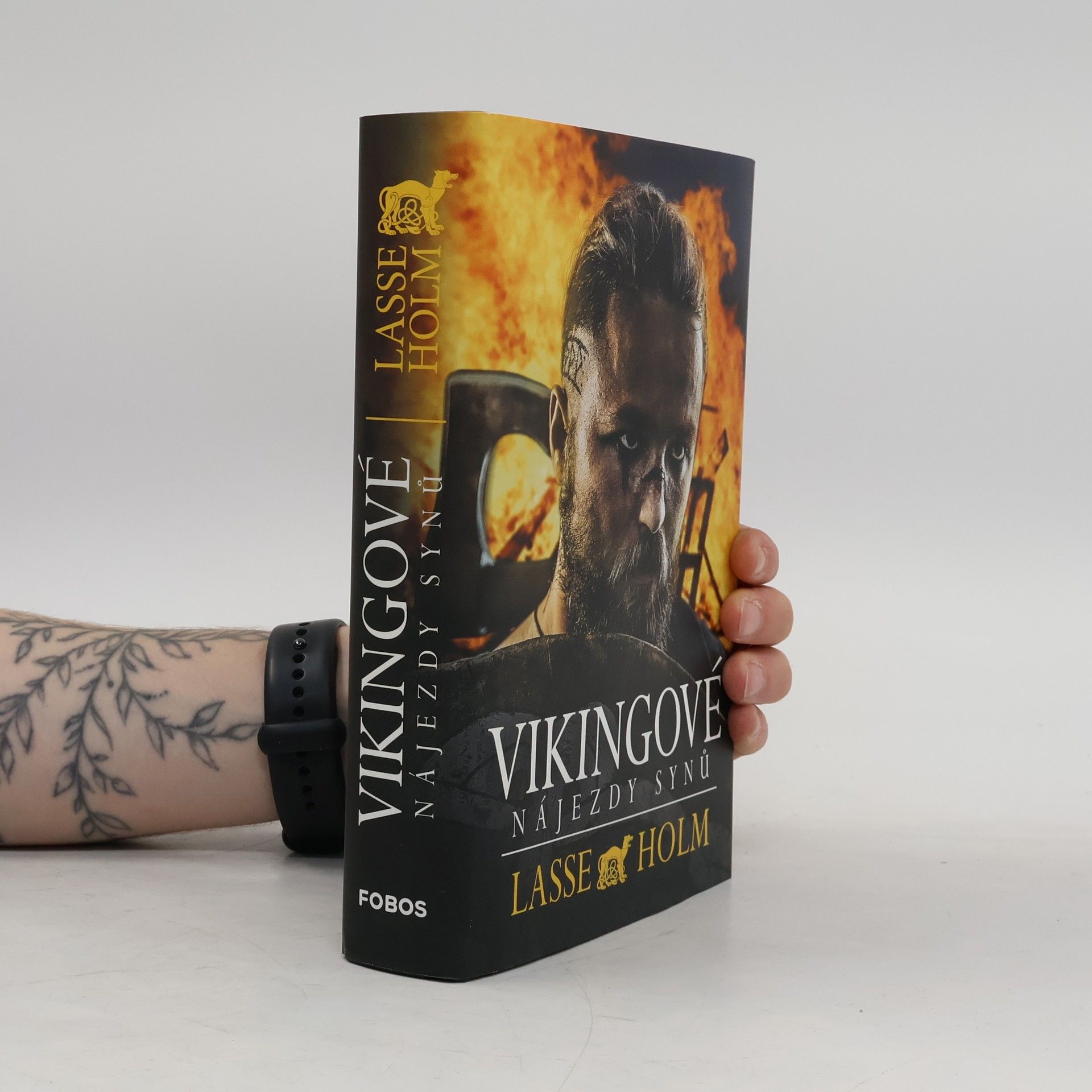 Lasse Holm Vikingové. Nájezdy synů