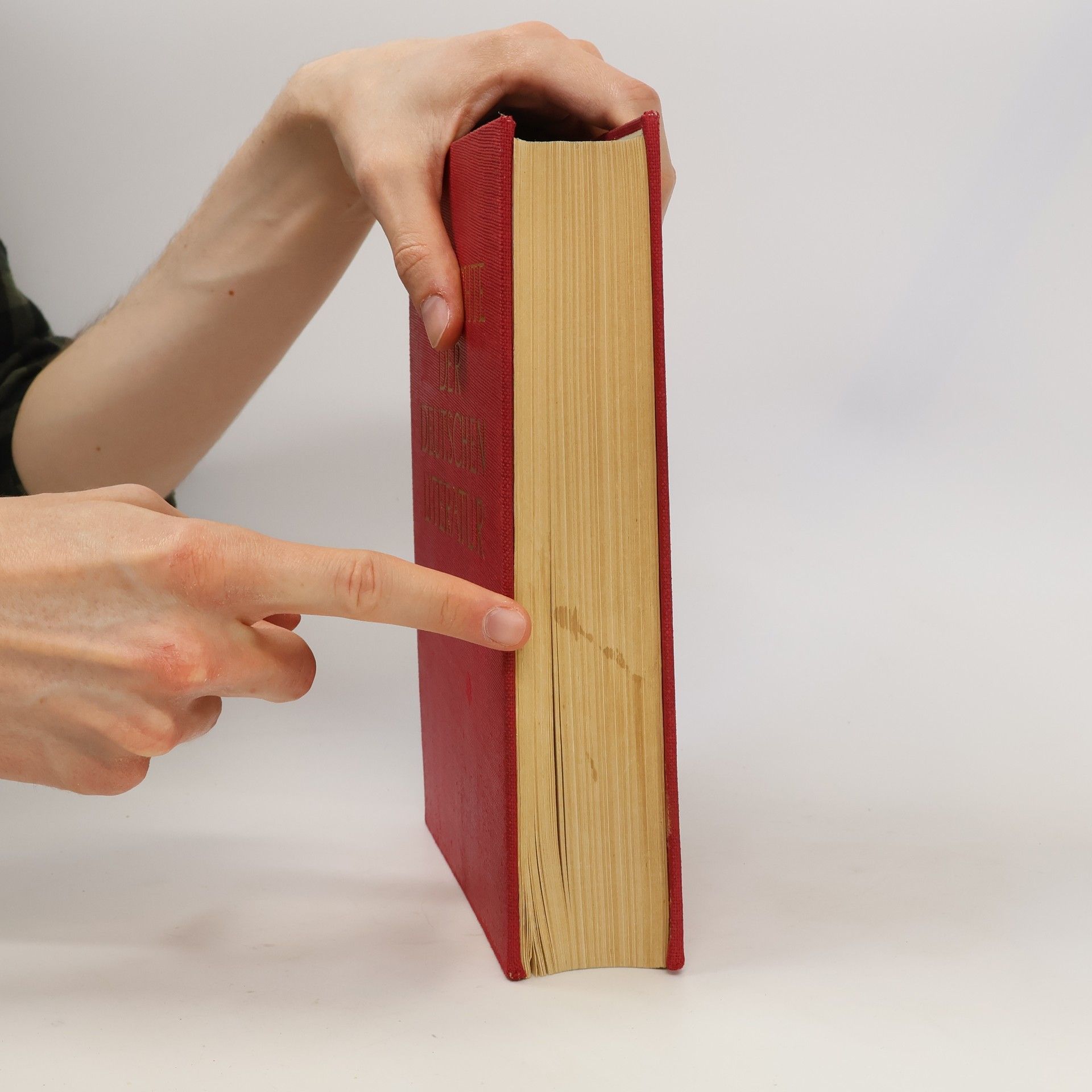 Paul Fechter Geschichte der deutschen Literatur. Von den Anfängen bis zur Gegenwart
