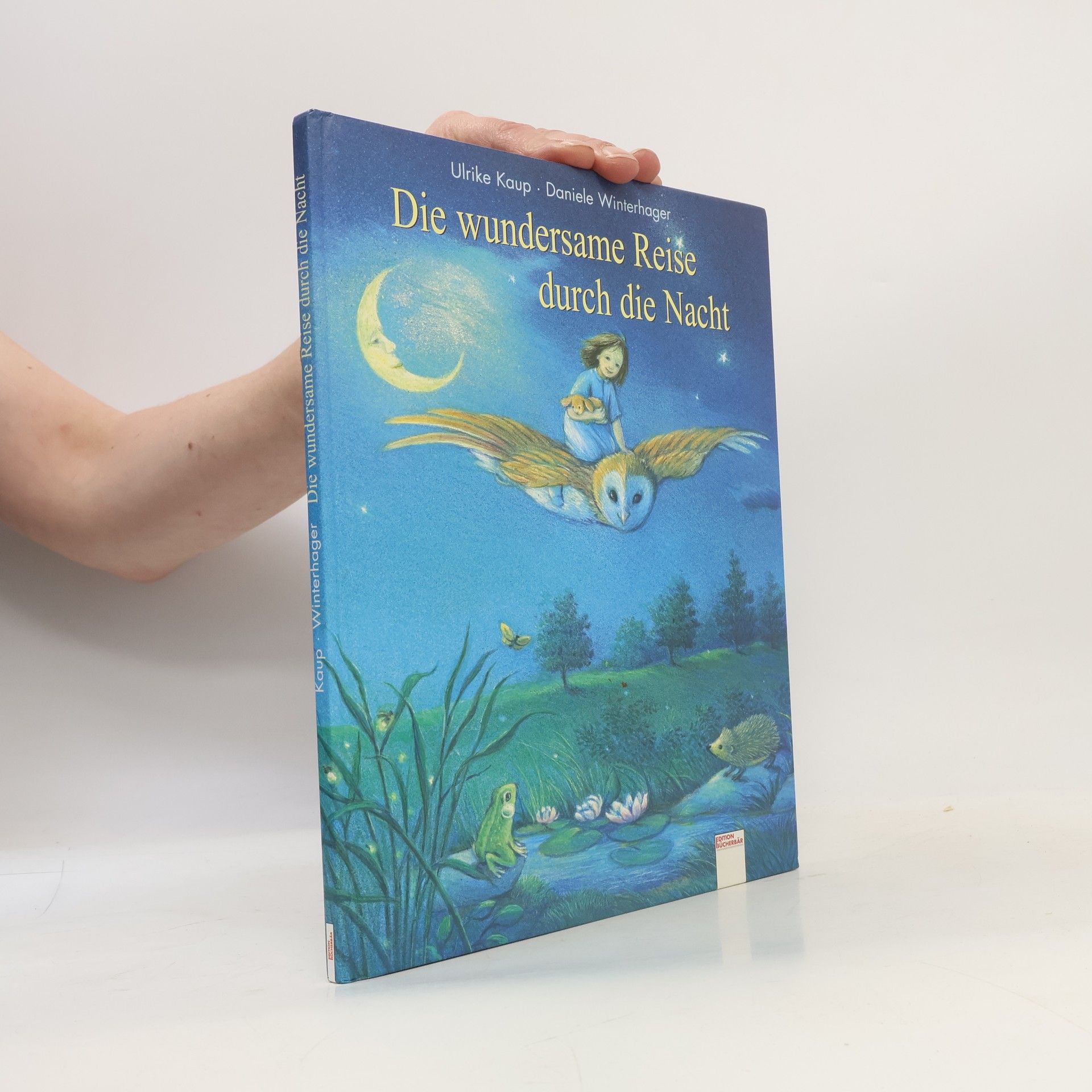 Ulrike Kaup Die wundersame Reise durch die Nacht