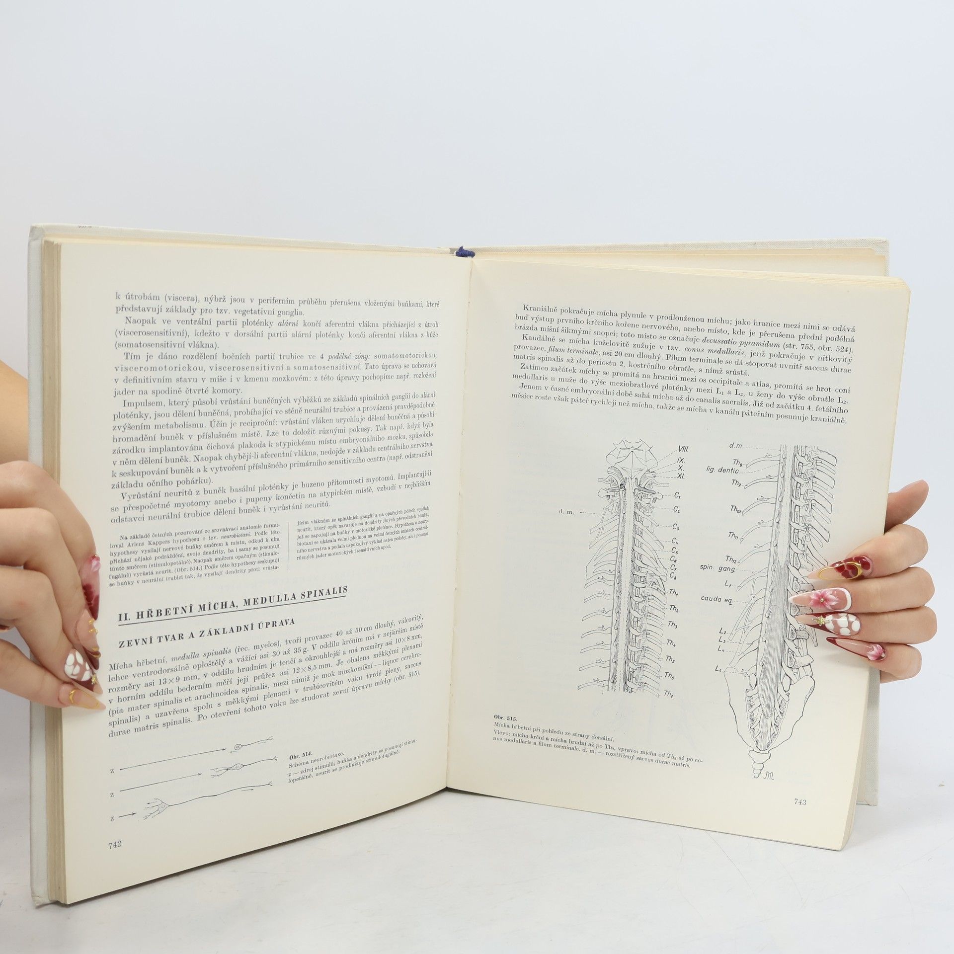 Ladislav Borovanský Soustavná anatomie člověka II.