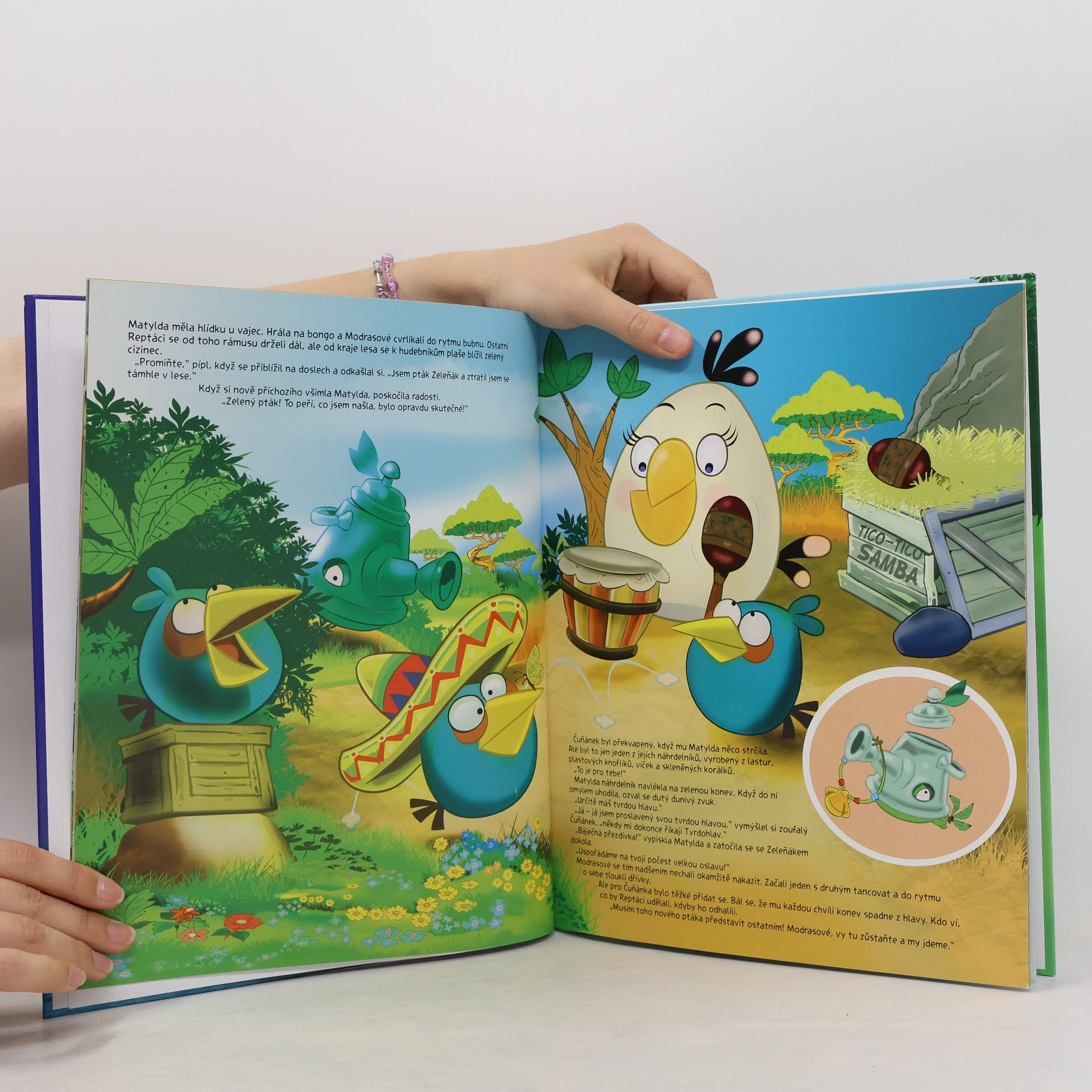 Tapani Bagge Angry Birds. Záhada zeleného ptáka