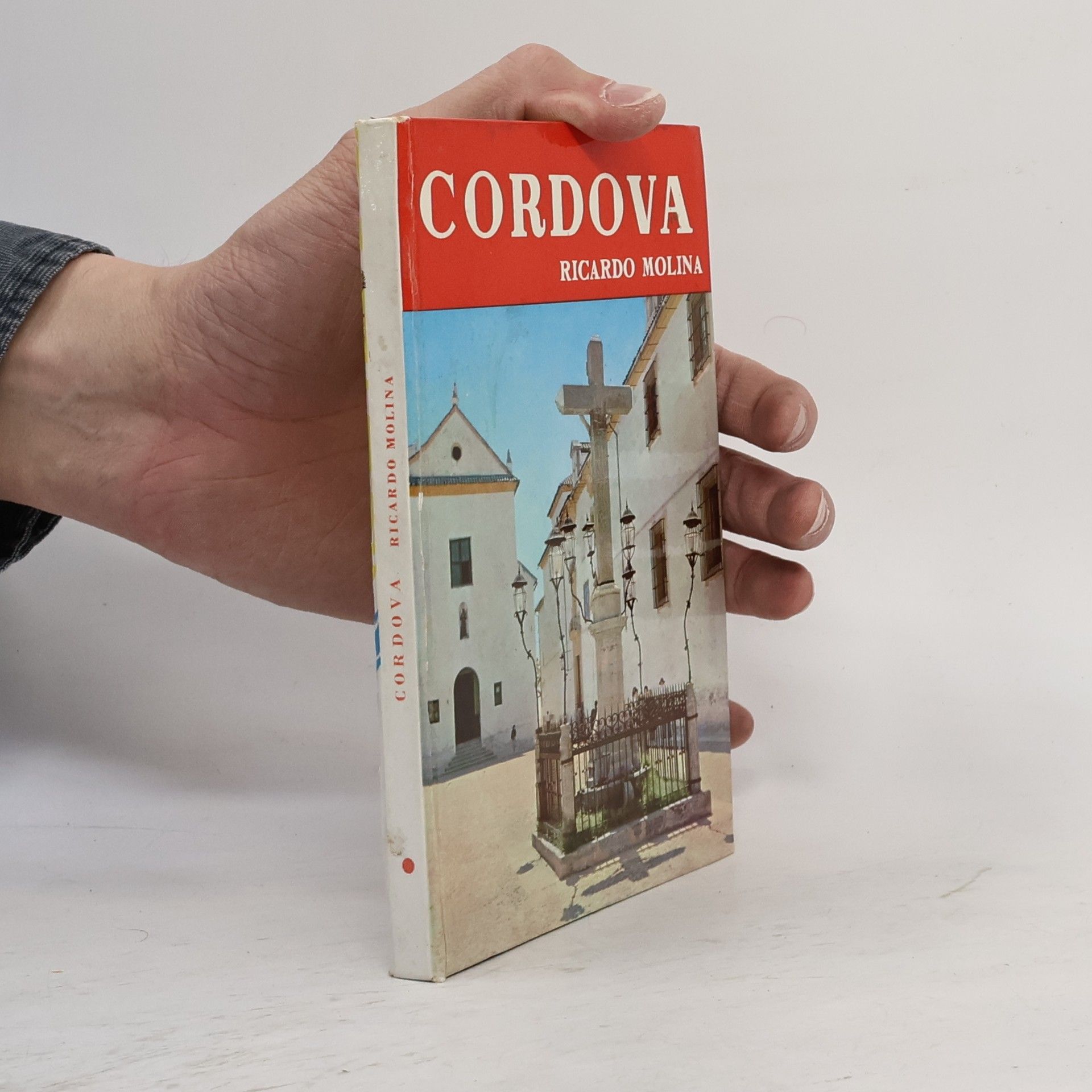 Ricardo Molina Cordova