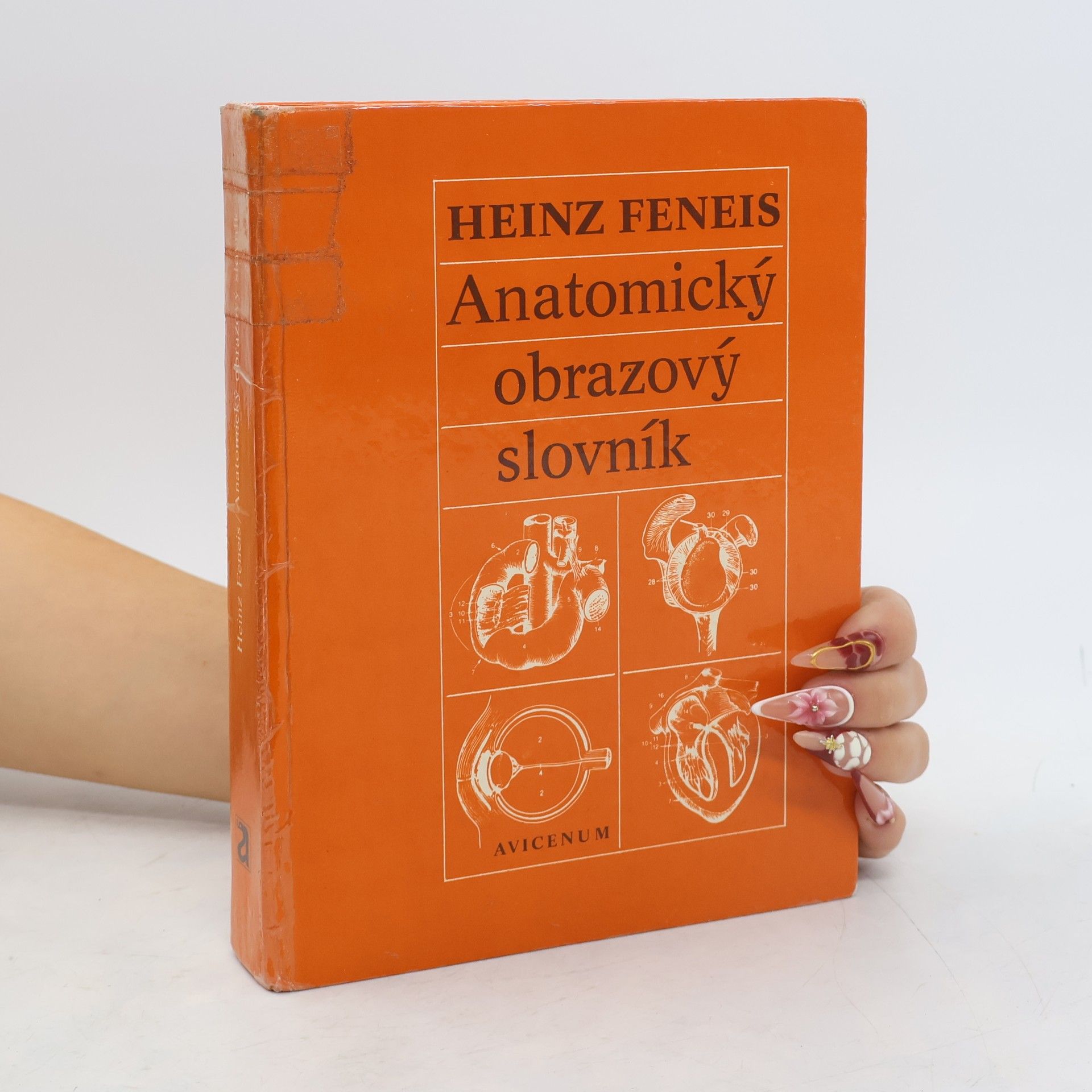 Heinz Feneis Anatomický obrazový slovník
