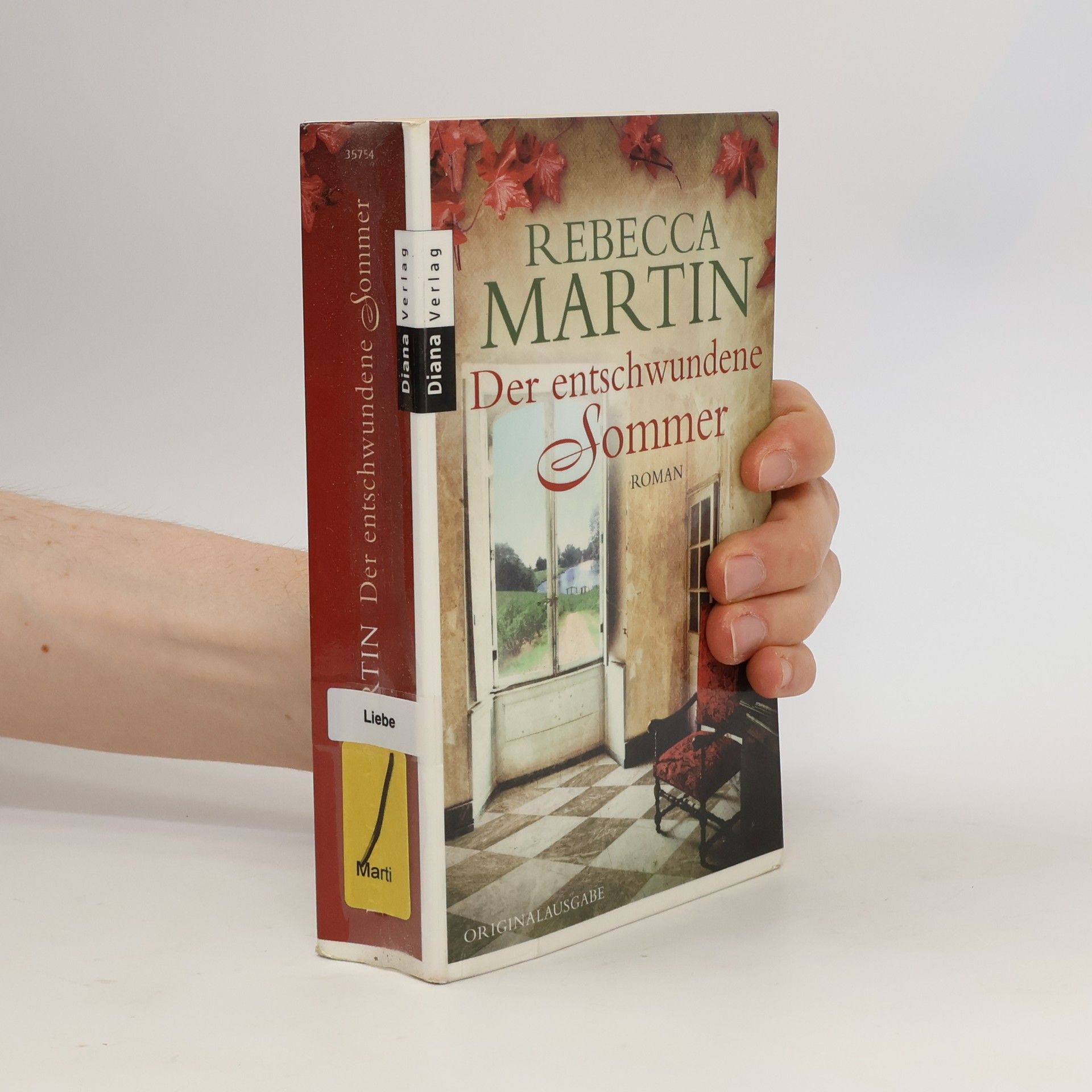 Rebecca Martin Der entschwundene Sommer
