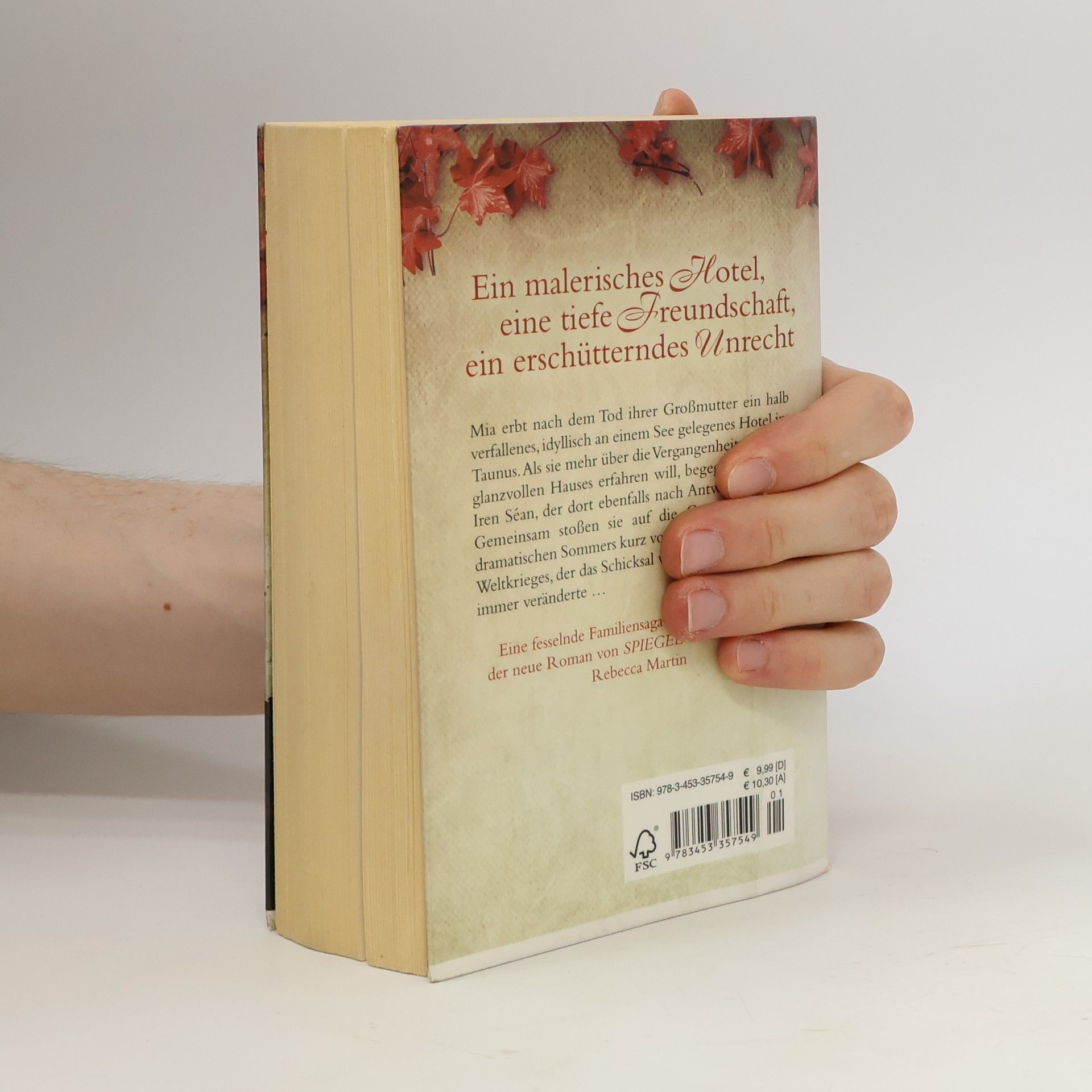 Rebecca Martin Der entschwundene Sommer