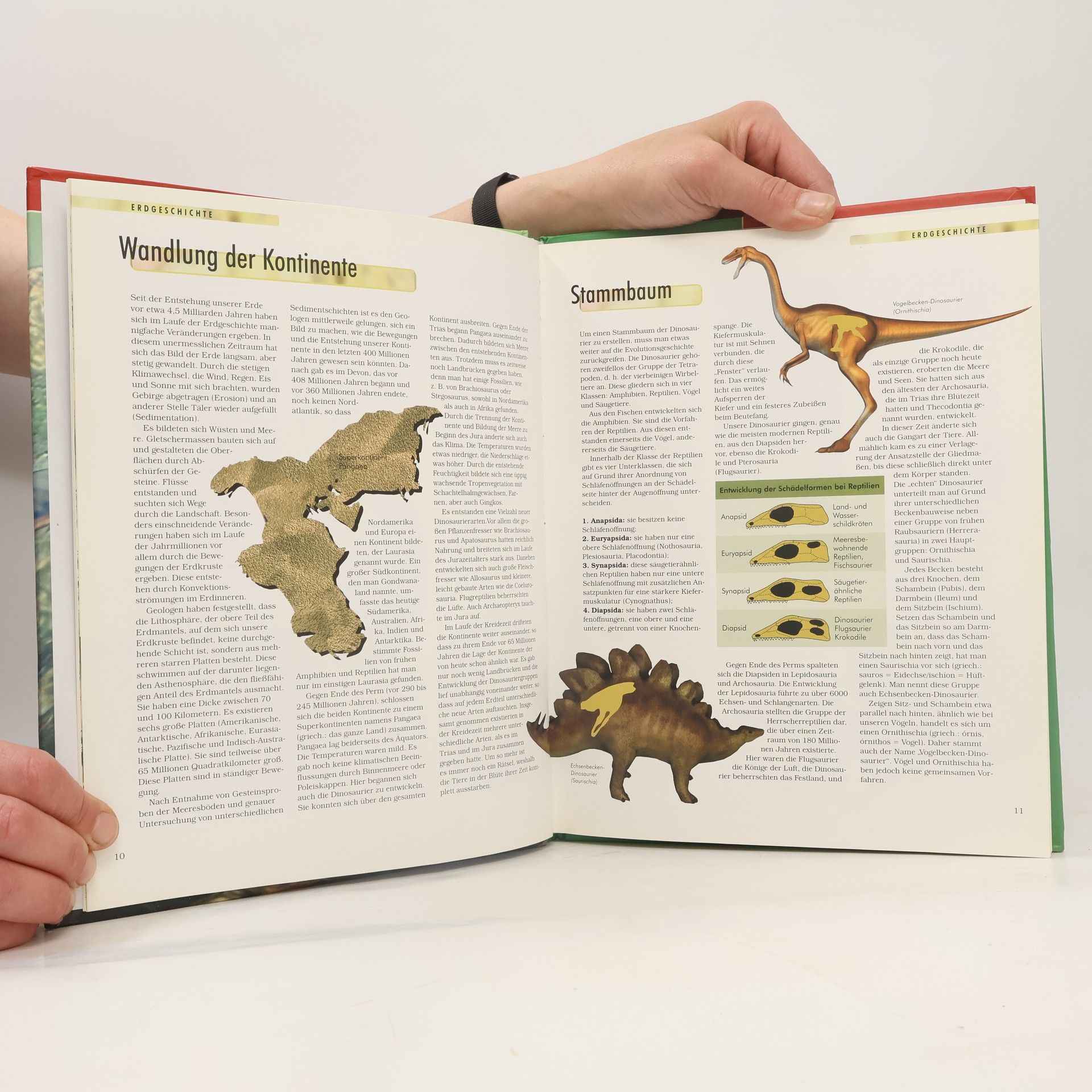 Collectif d'auteurs Dinosaurier