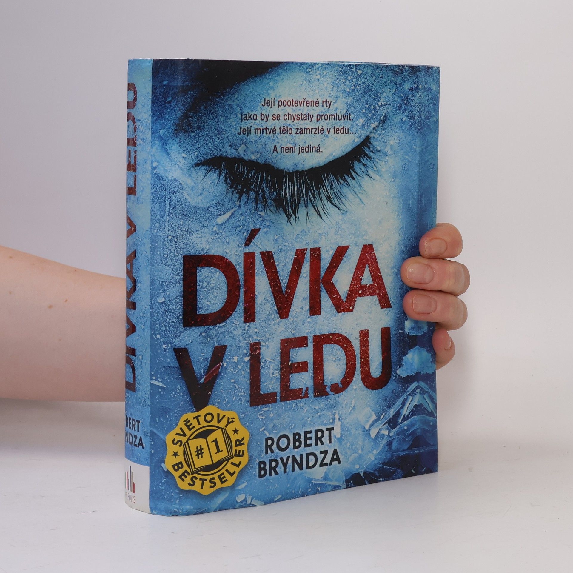 Robert Bryndza Dívka v ledu