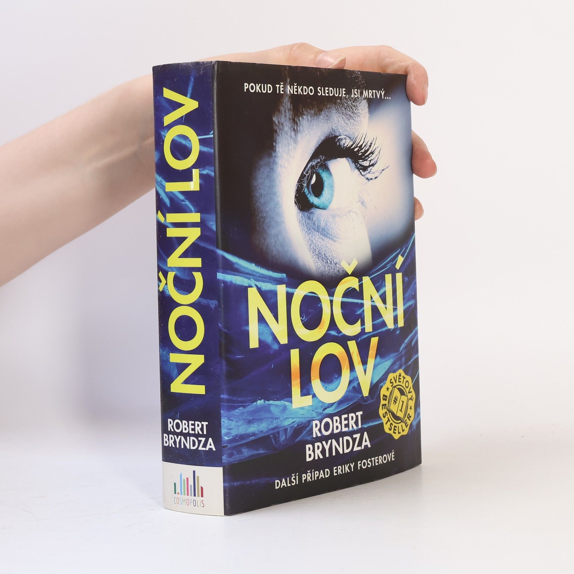 Robert Bryndza Noční lov
