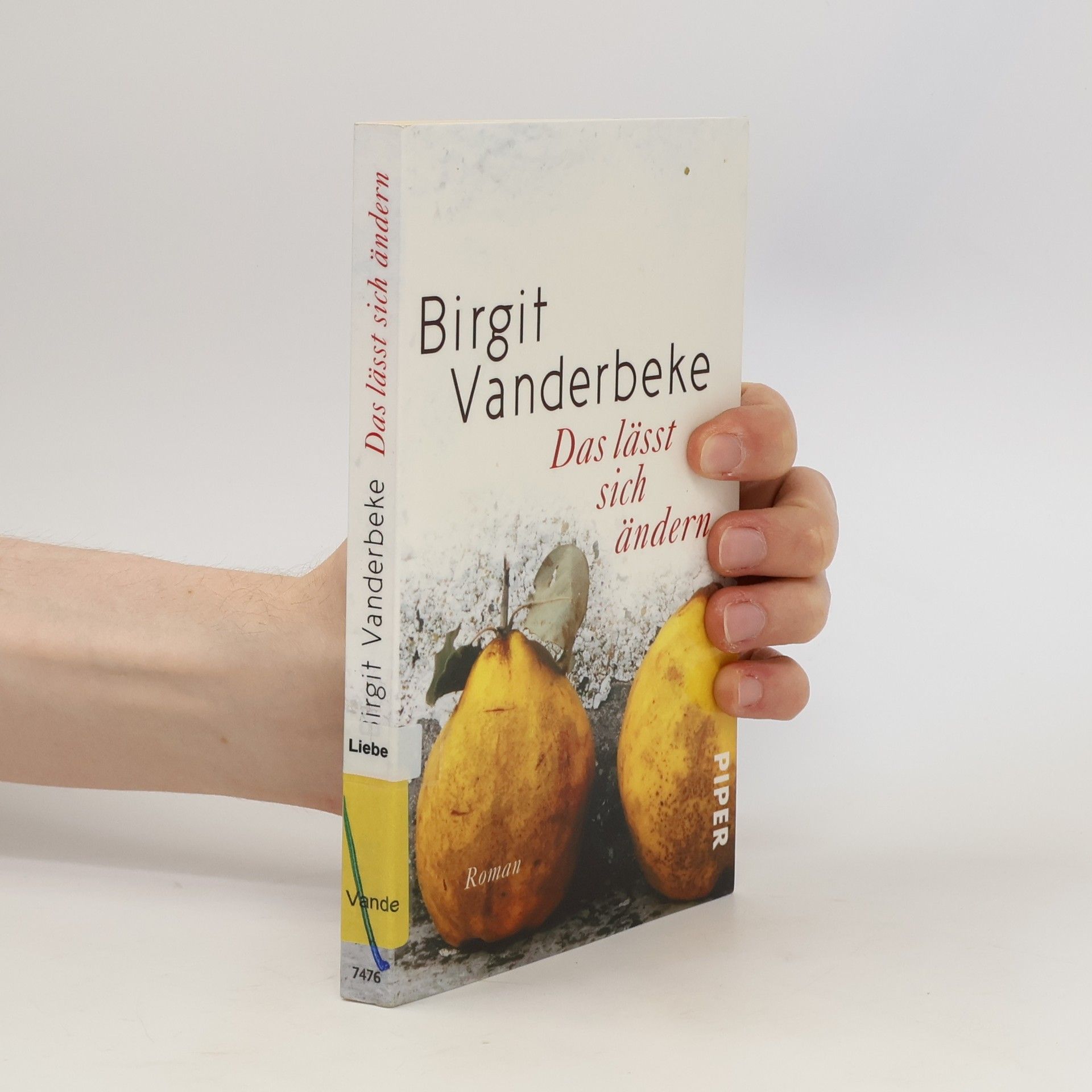 Birgit Vanderbeke Das lässt sich ändern