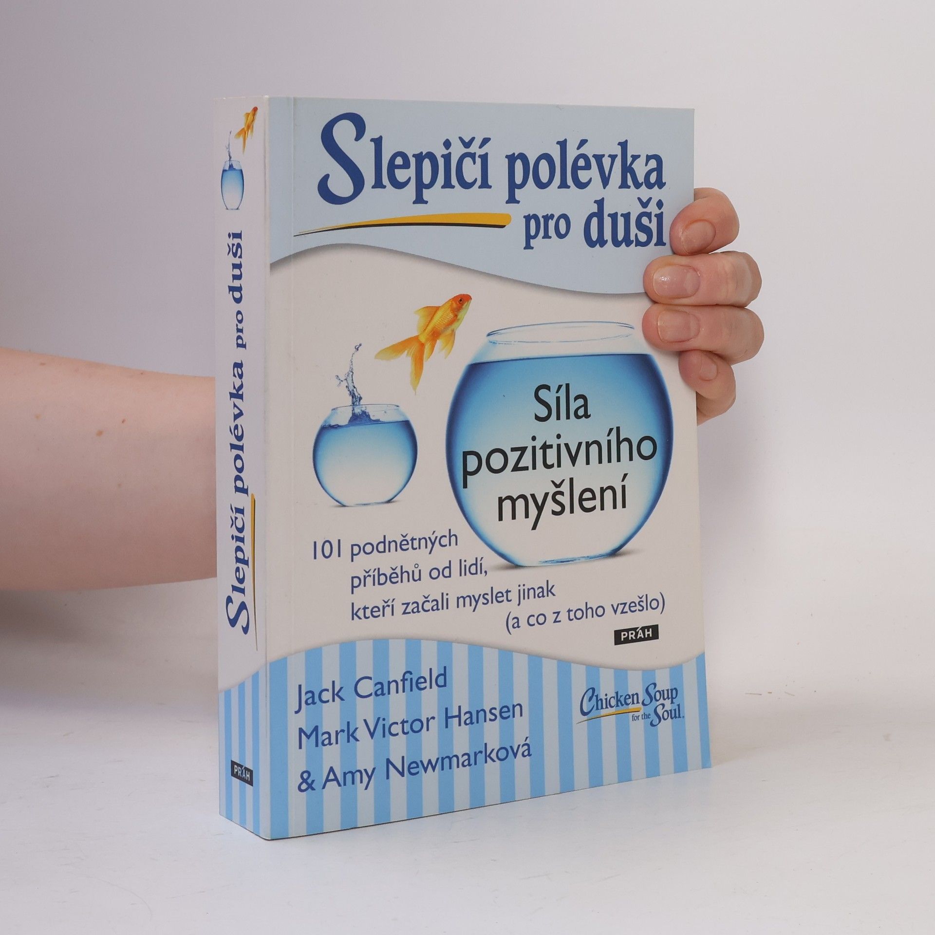 Amy Newmark Slepičí polévka pro duši