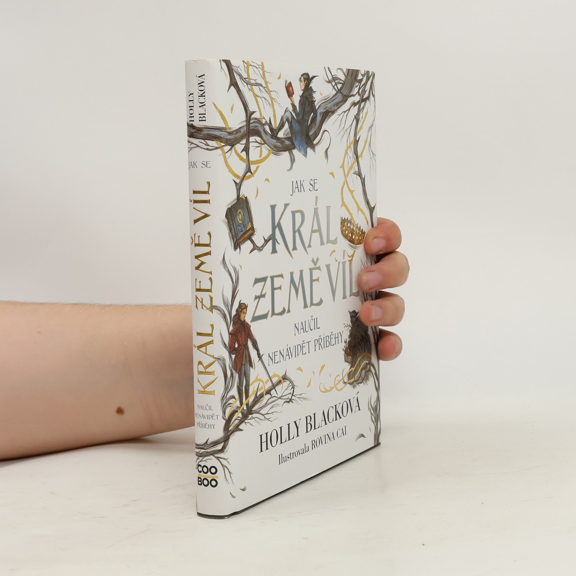 Holly Black Jak se král Země víl naučil nenávidět příběhy