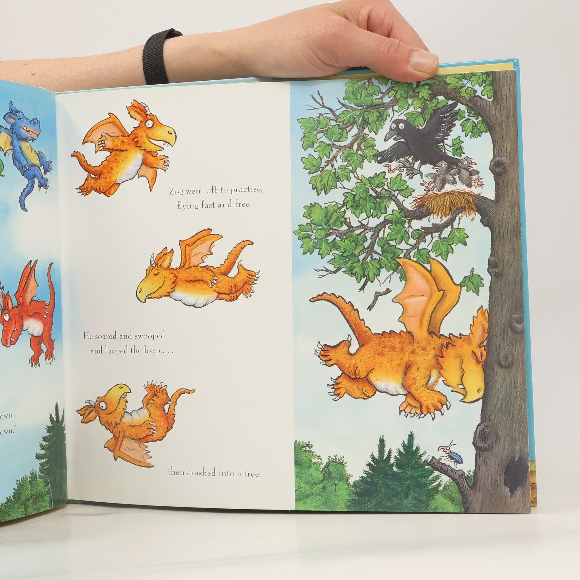 Julia Donaldson Zog