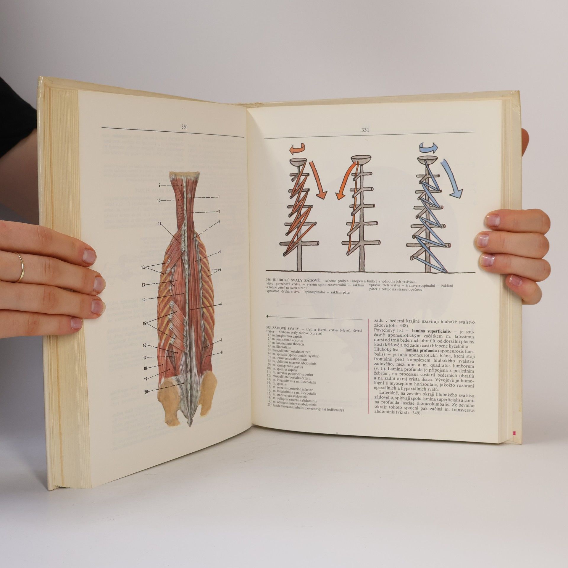 Radomír Čihák Anatomie 1