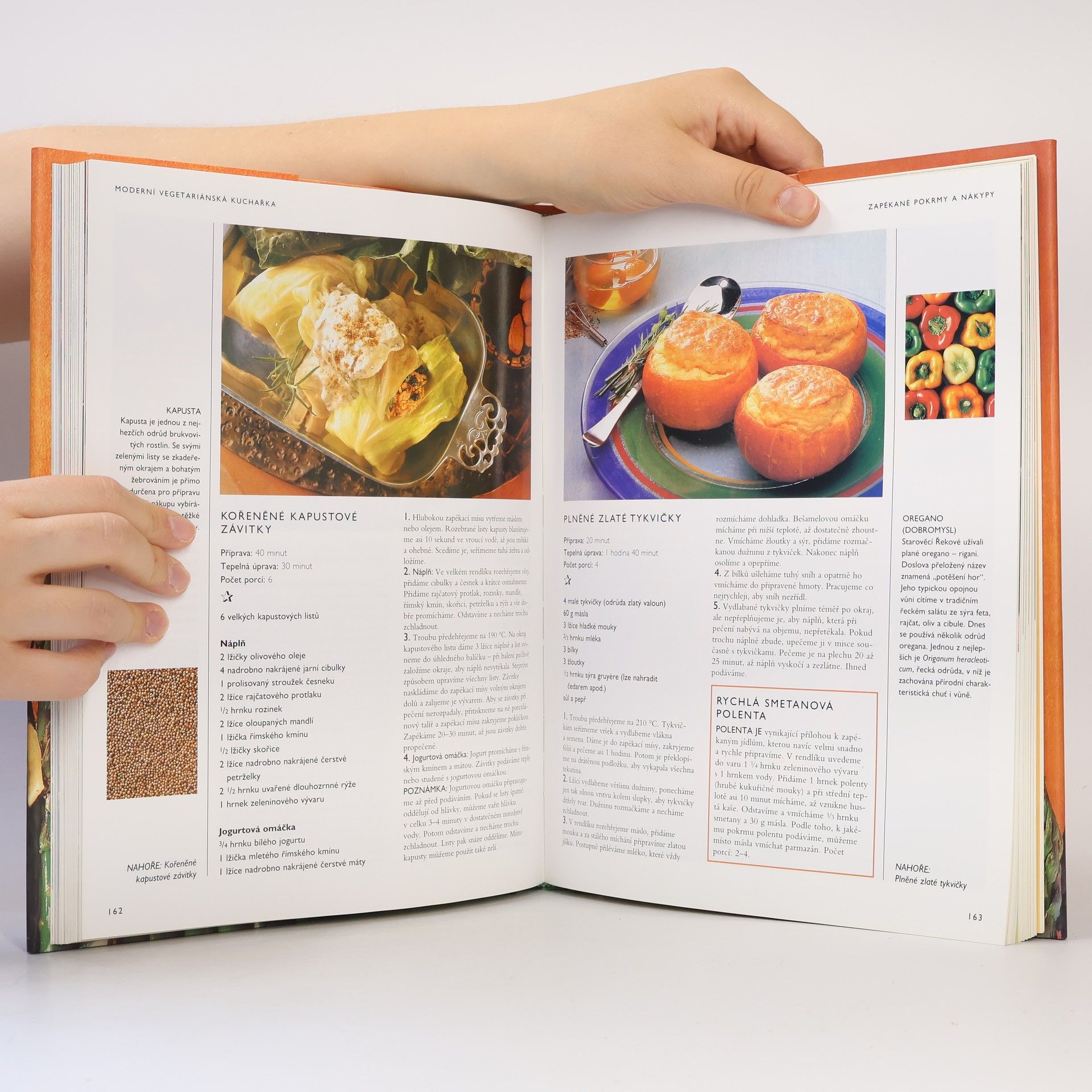 Jana Steinerová Moderní vegetariánská kuchařka