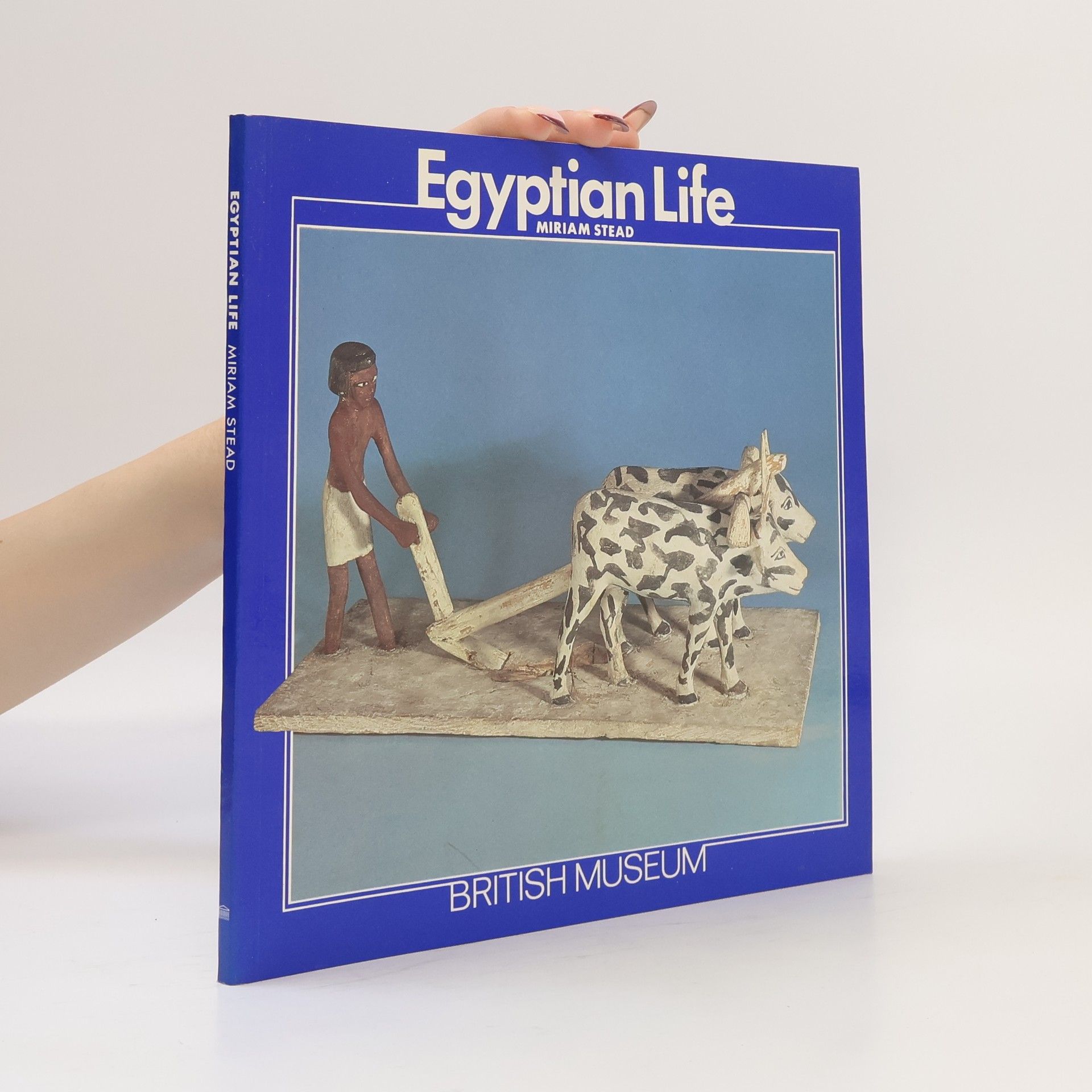 Miriam Stead Egyptian Life