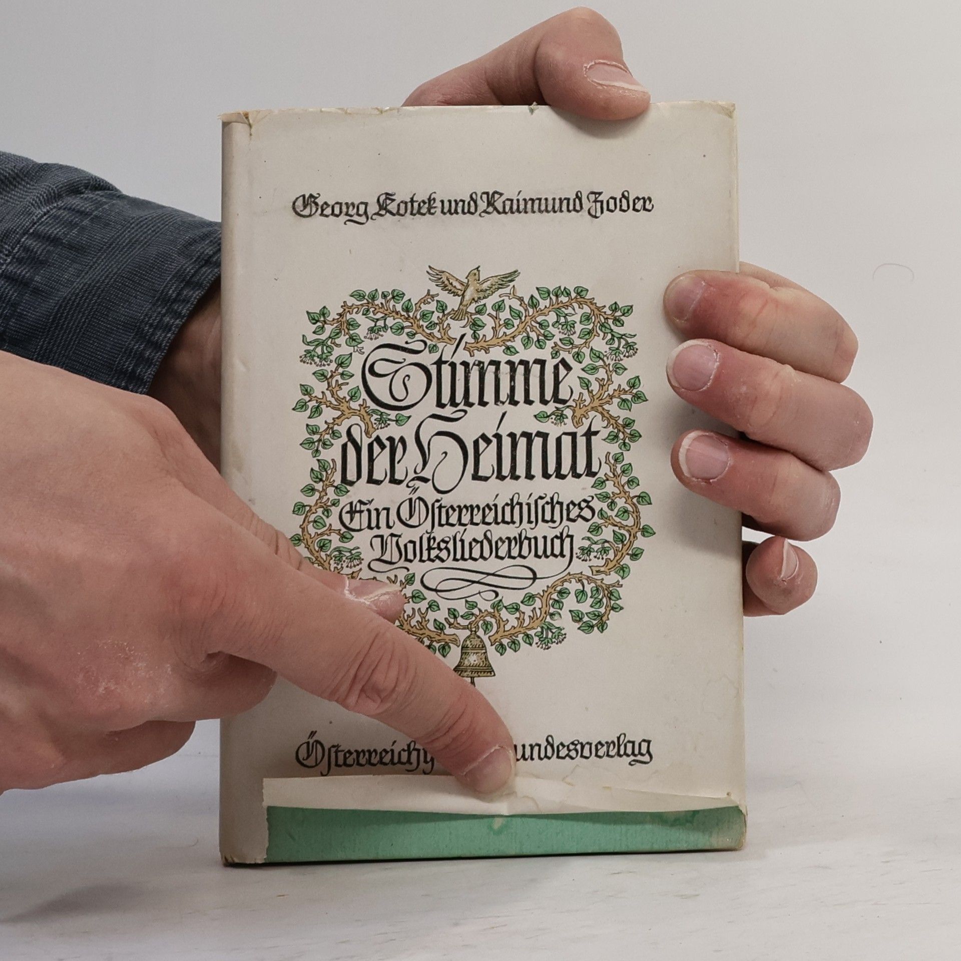 Various authors Stimme der Heimat