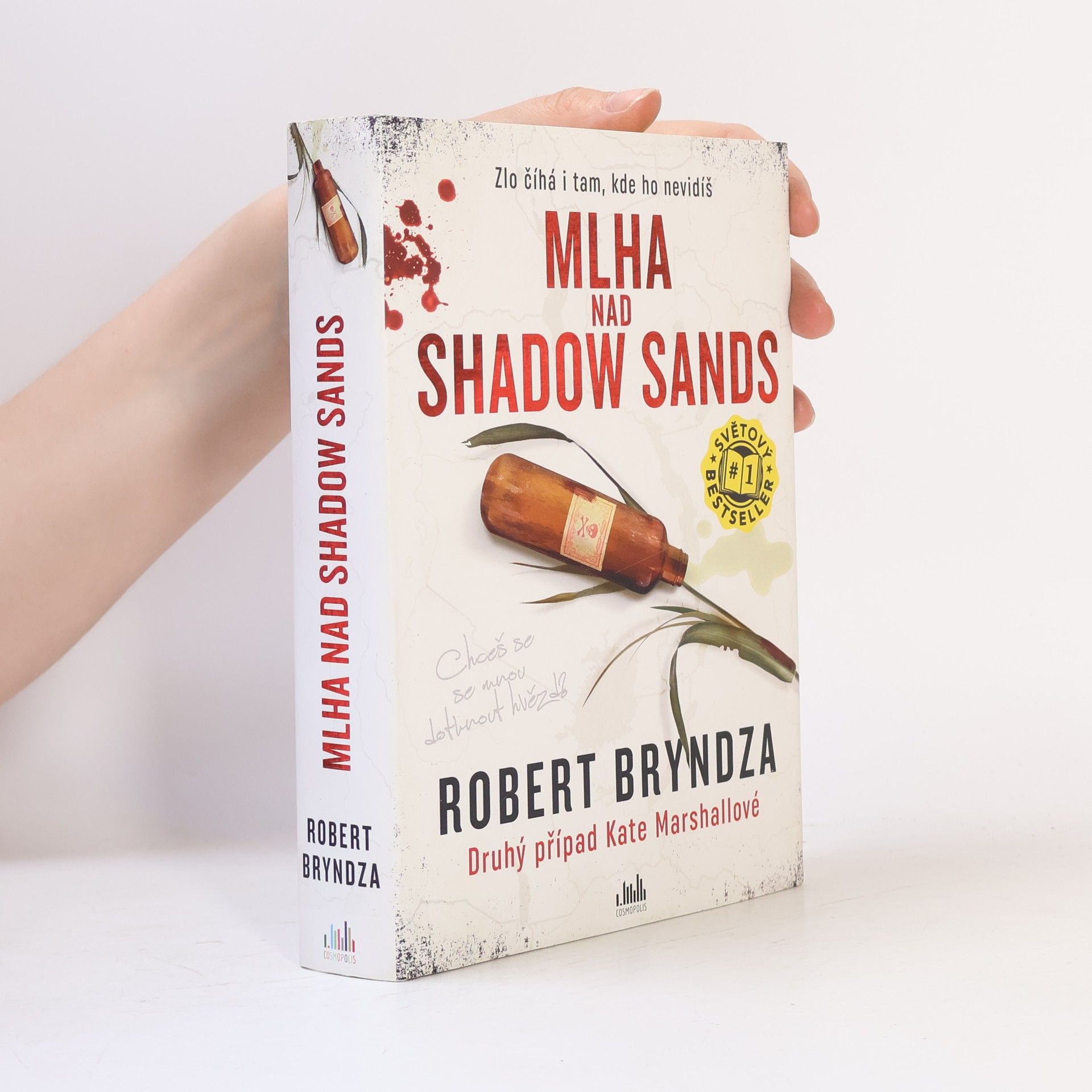 Robert Bryndza Mlha nad Shadow Sands