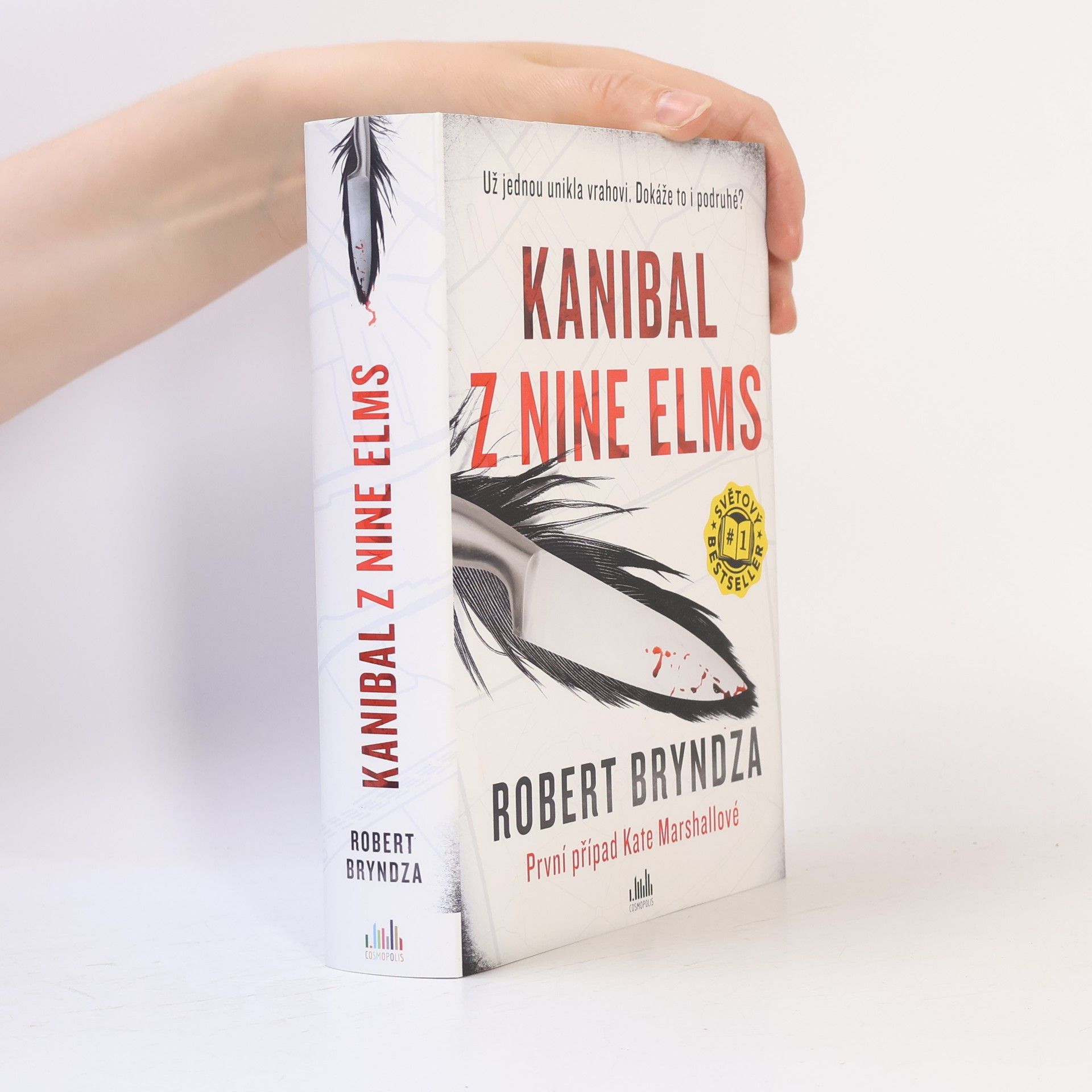 Robert Bryndza Kanibal z Nine Elms