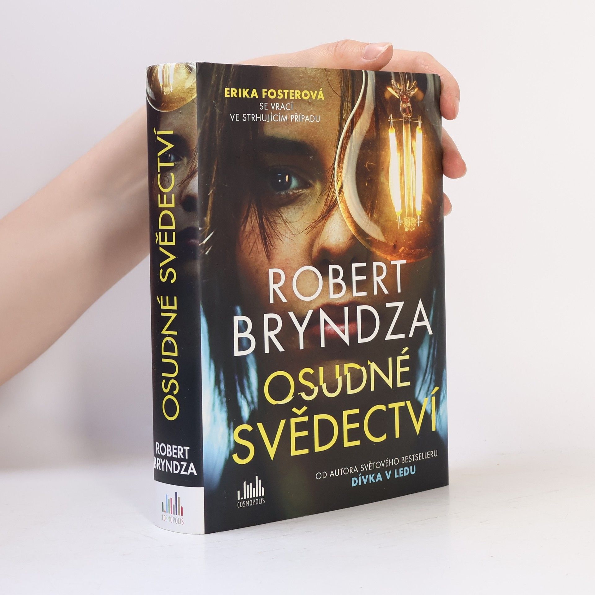 Robert Bryndza Osudné svědectví