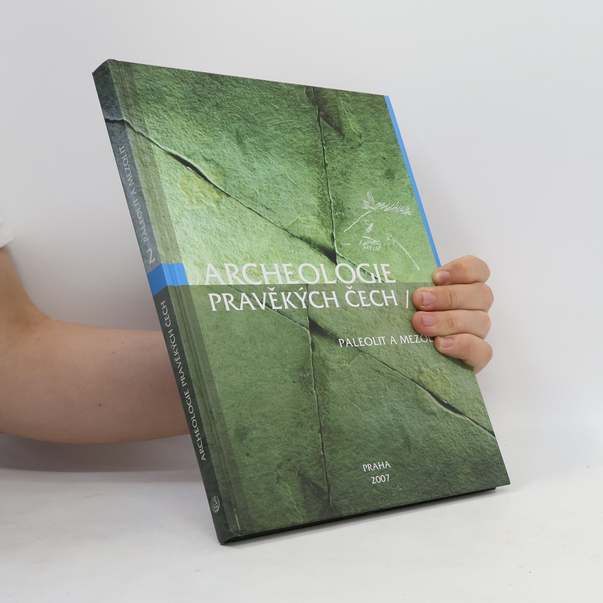 Jan-Friedrich Vogelbruch Archeologie pravěkých Čech : Paleolit a mezolit. 2