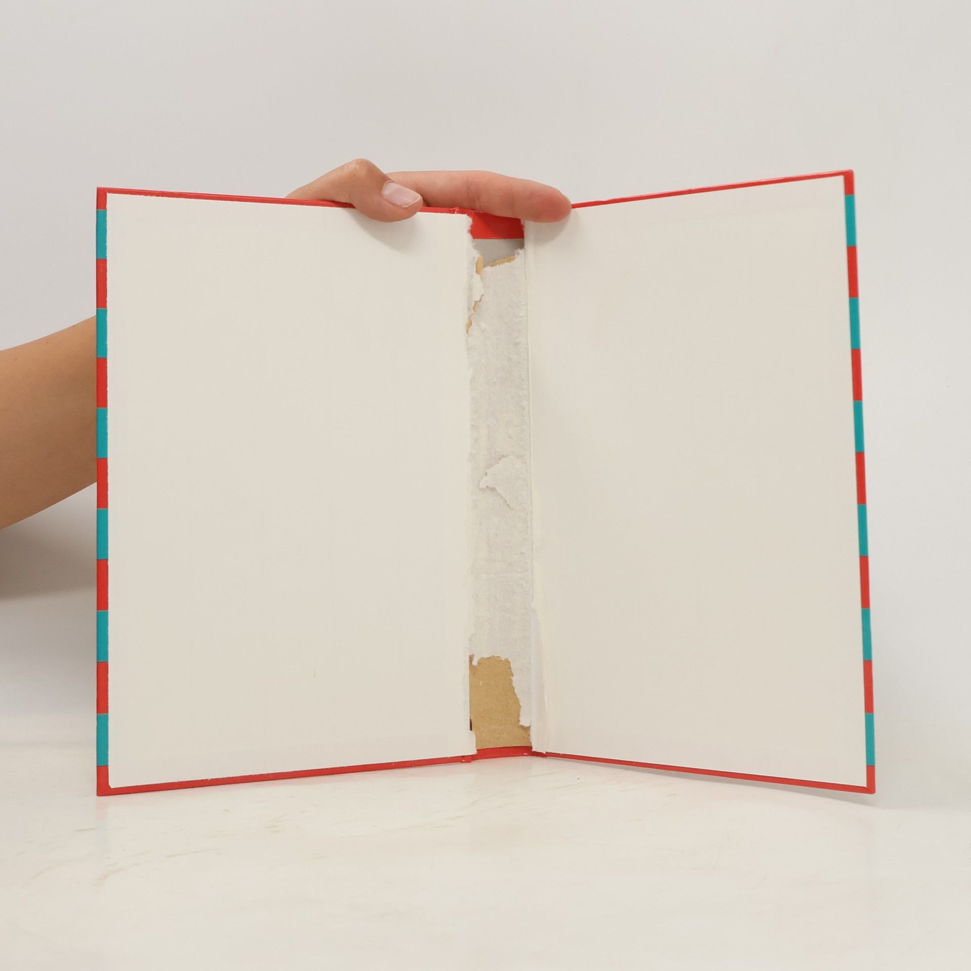 Ursula Oppolzer Verflixt, das darf ich nicht vergessen!