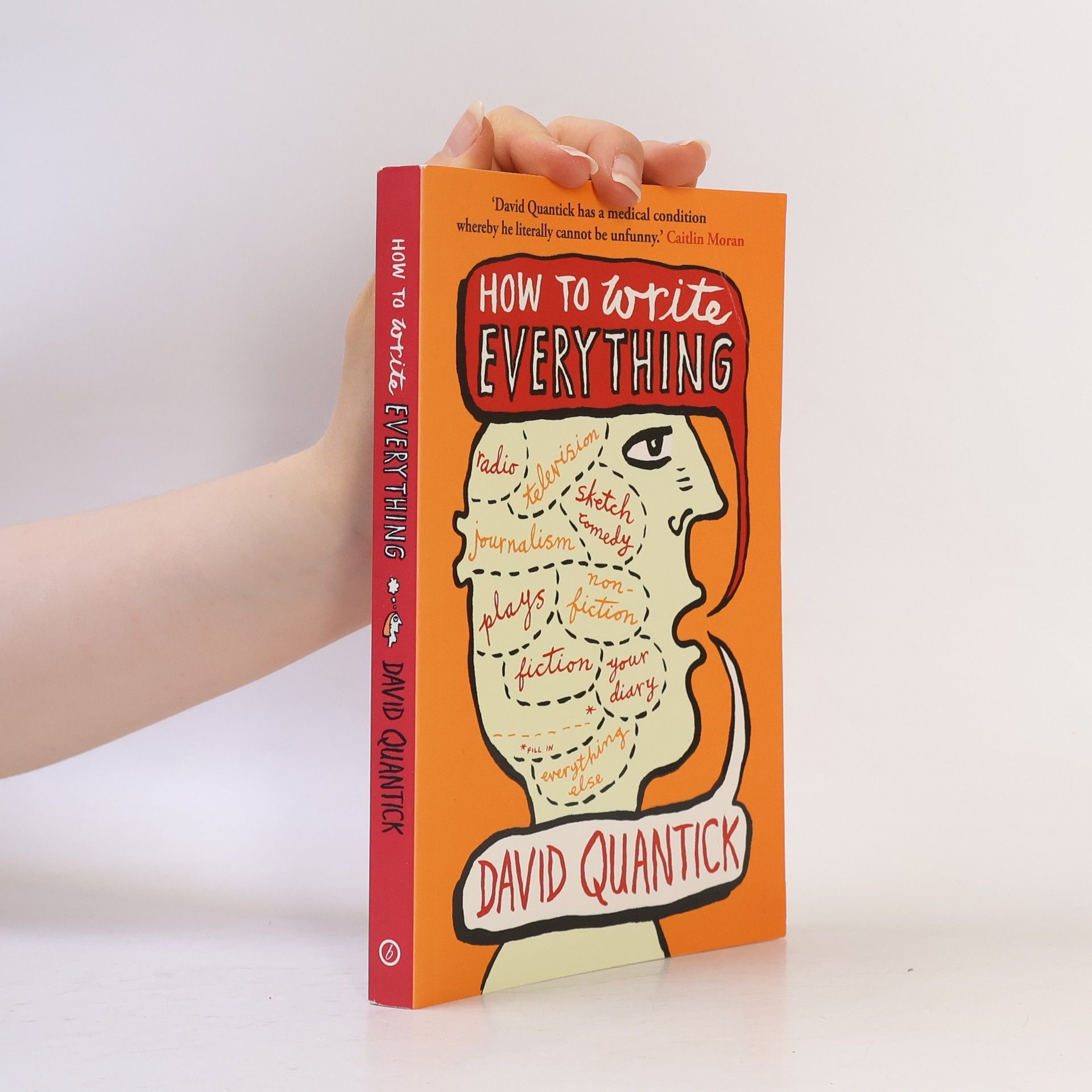 David Quantick How to Write Everything