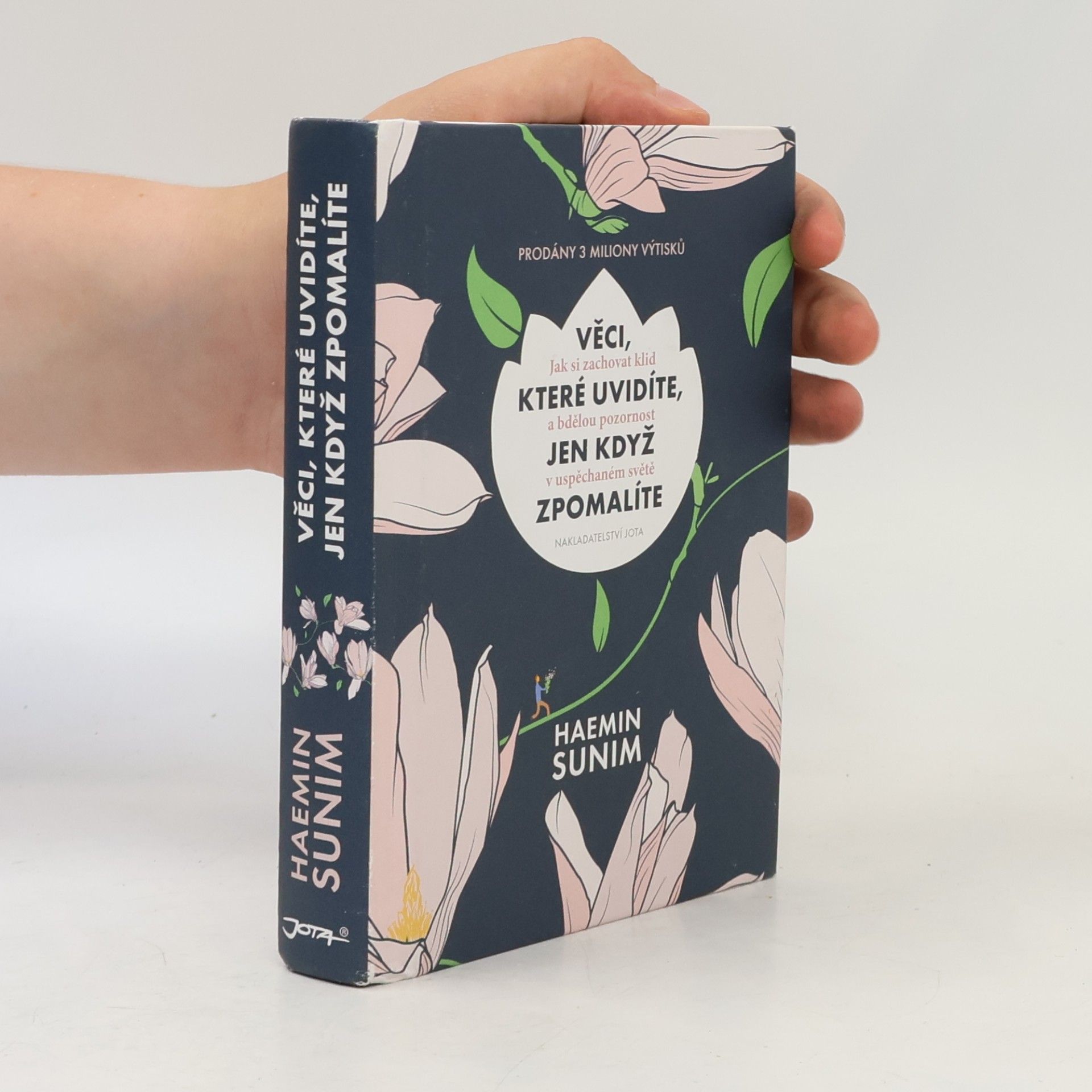 Sunim Haemin Věci, které uvidíte, jen když zpomalíte