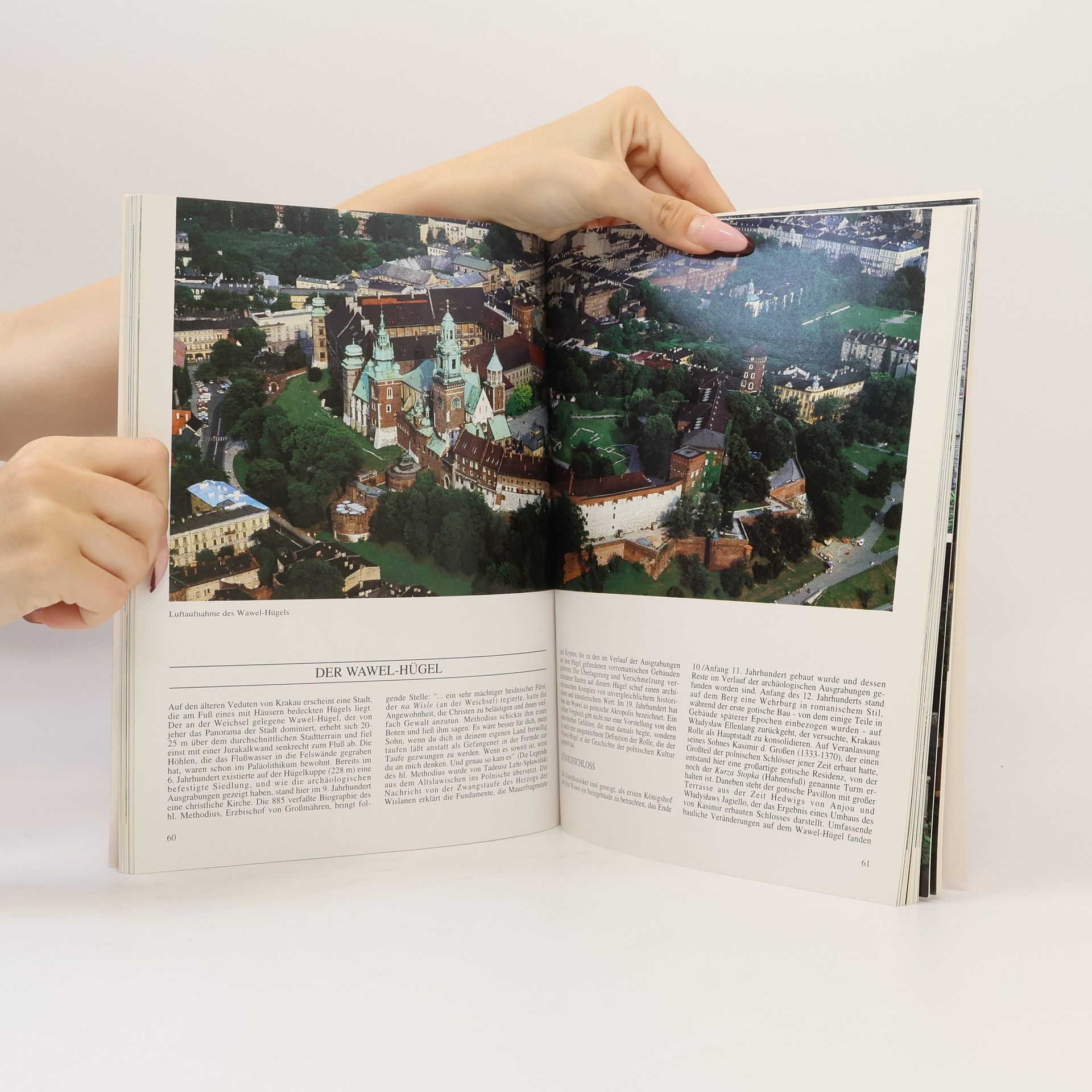Andrea Pistolesi Das Goldene Buch von Krakau