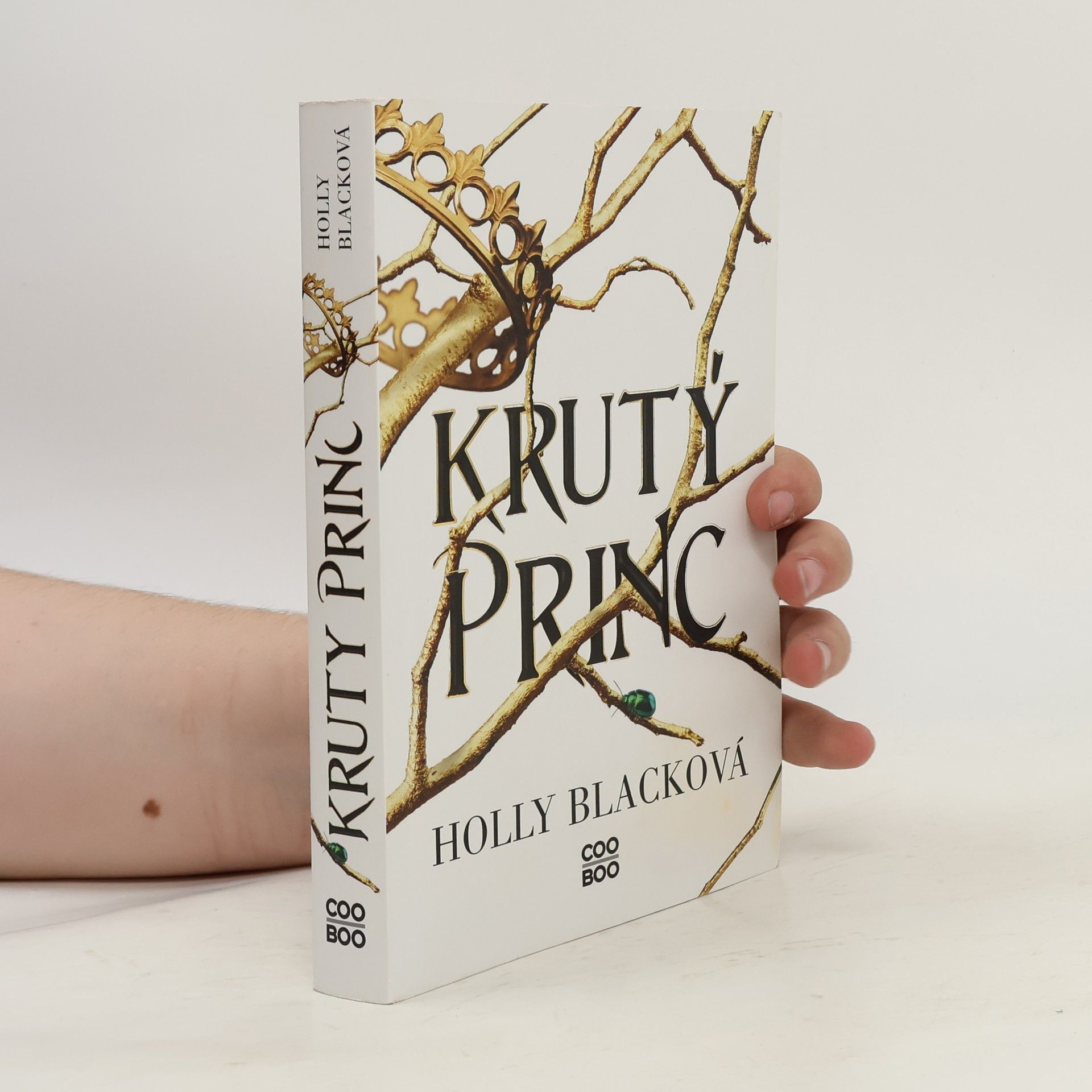 Holly Black Krutý princ