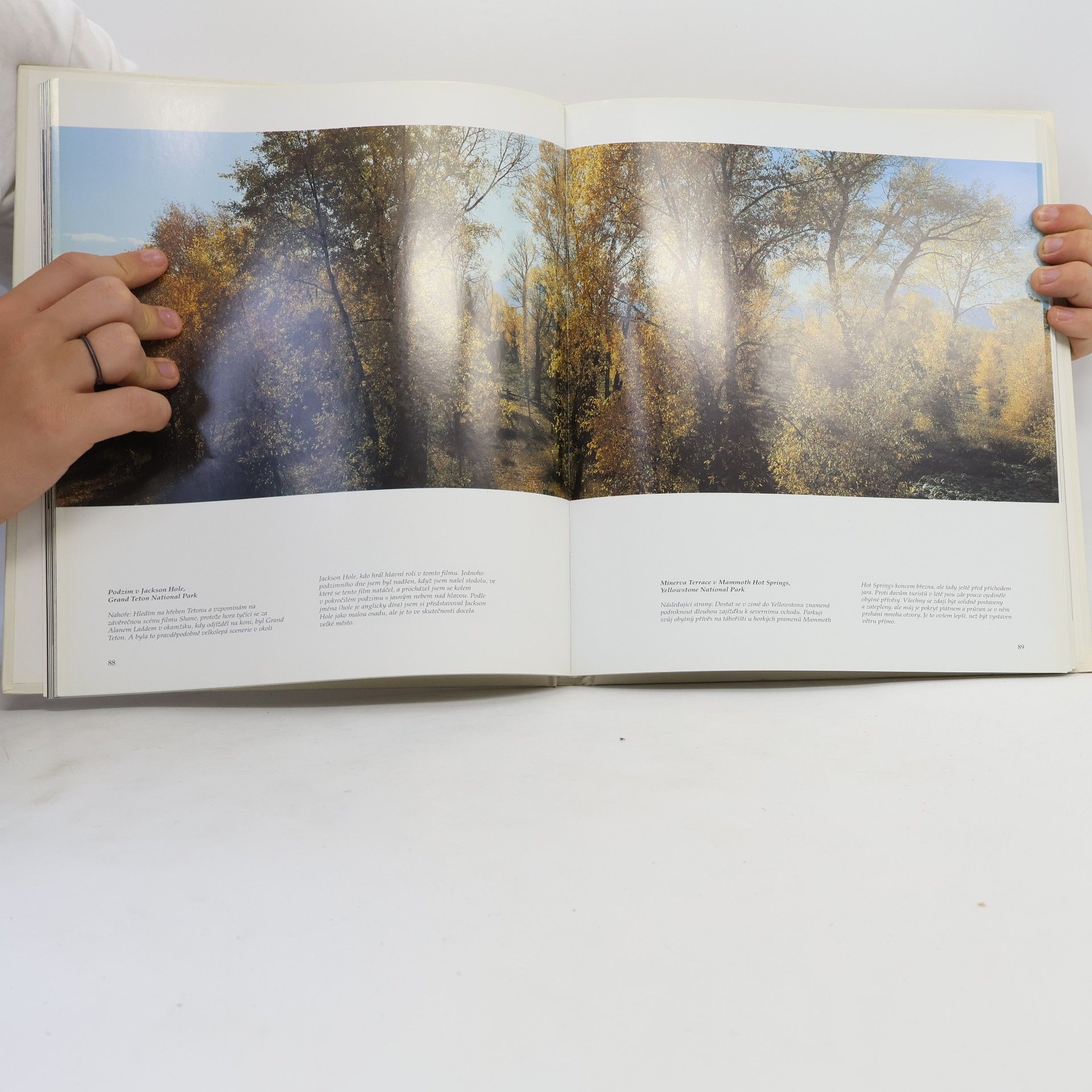 Takashi Iwahashi Skalnaté hory = Rocky Mountains